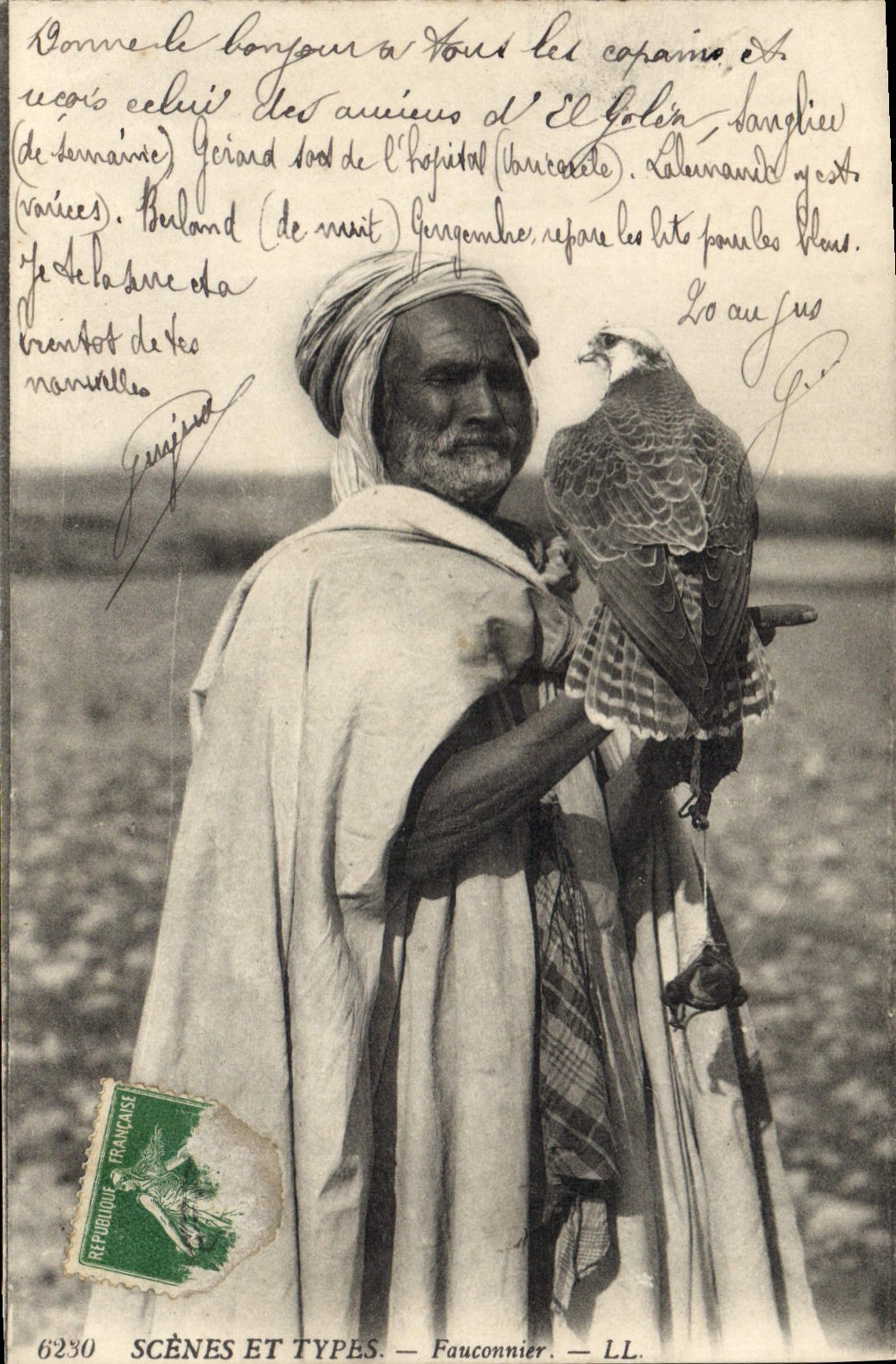 Postal Caza Halconero Halcón Pájaro