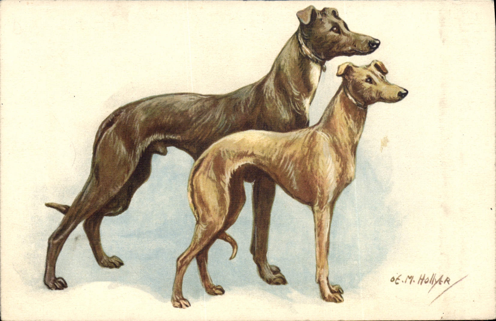CPA Chien Chiens 