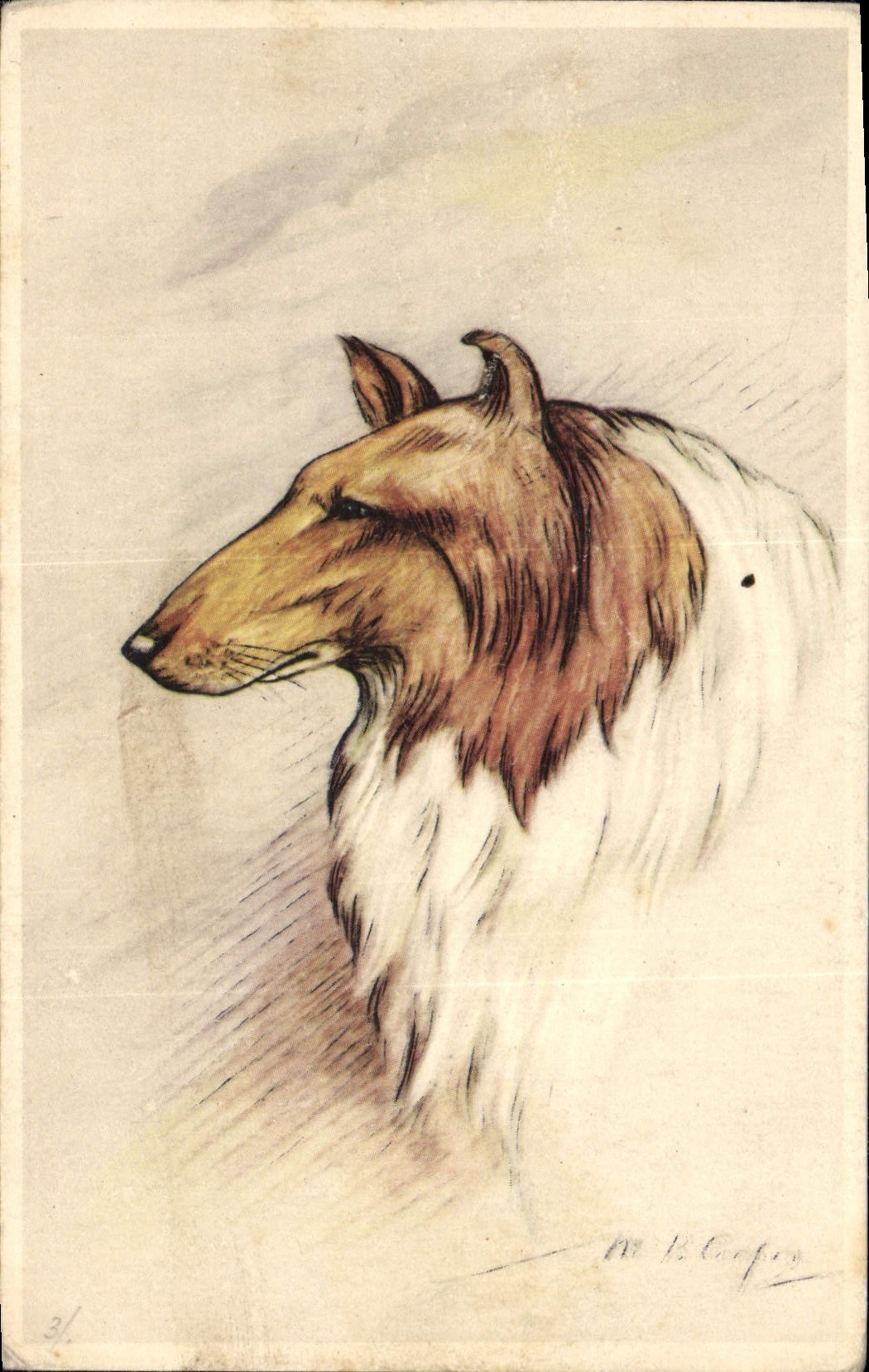 CPA Chien Chiens 
