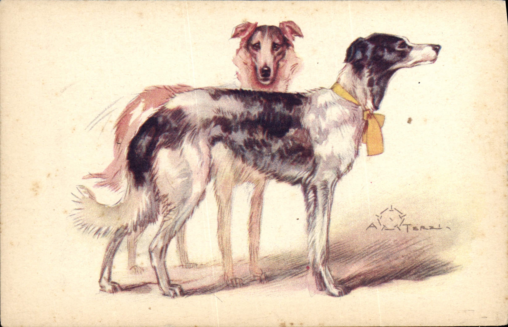 CPA Chien Chiens 