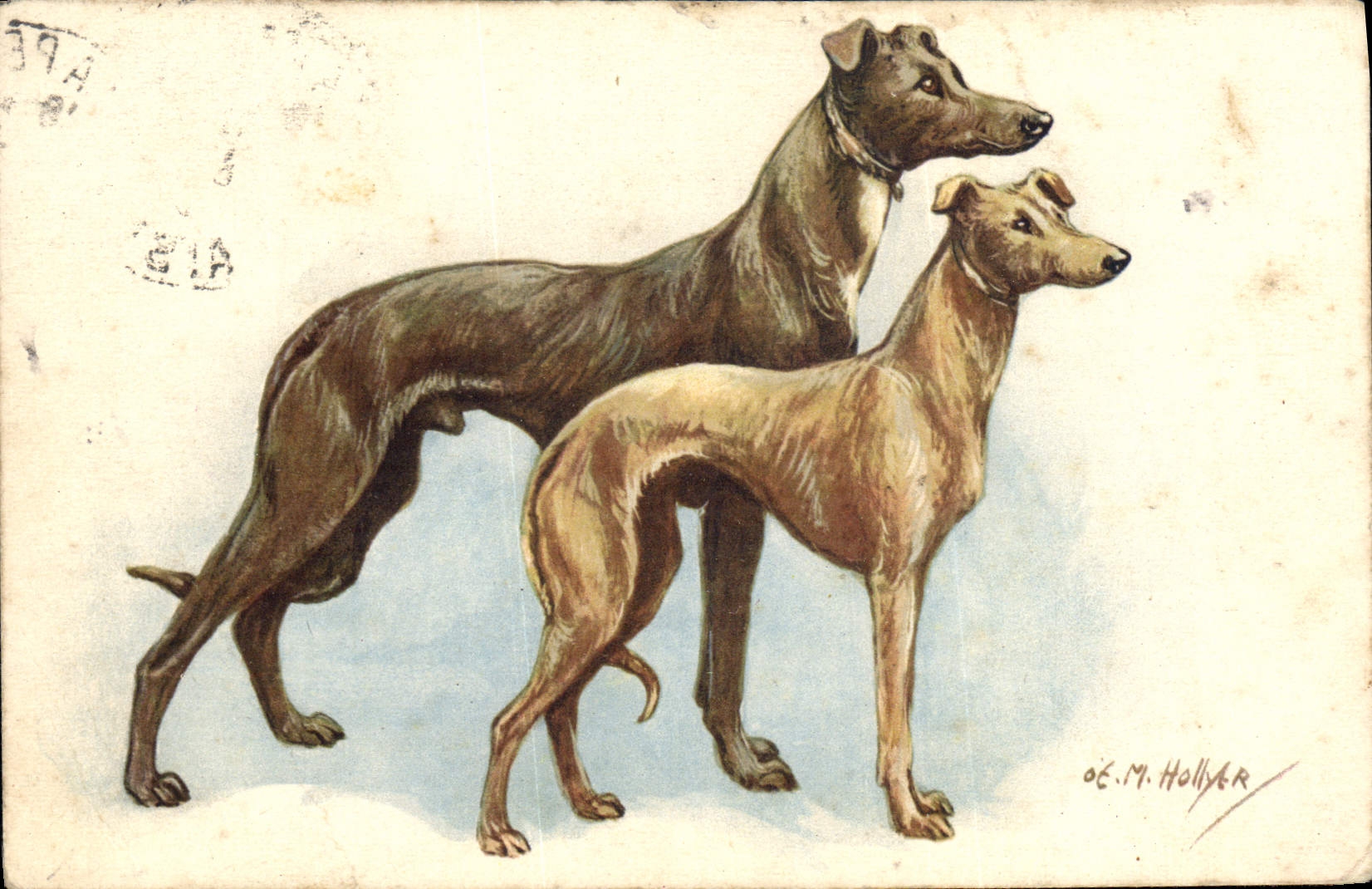 CPA Chien Chiens 