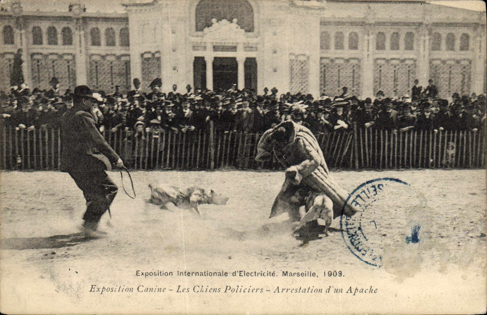 CPA Chien Chiens Exposition internationale d'electricite Marseille 1903 Exposition canine Les chiens policiers Arrestation d'un Apache Indien Police Policier TOP