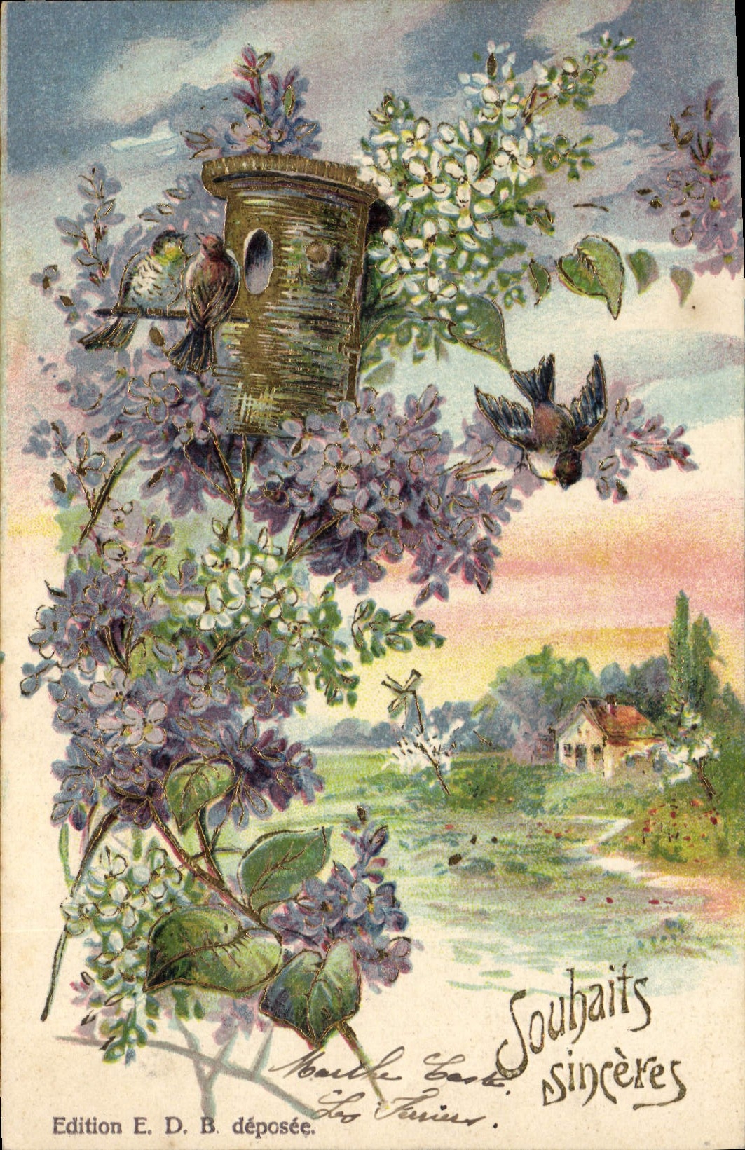 CPA Fantaisie Fleurs Oiseaux 
