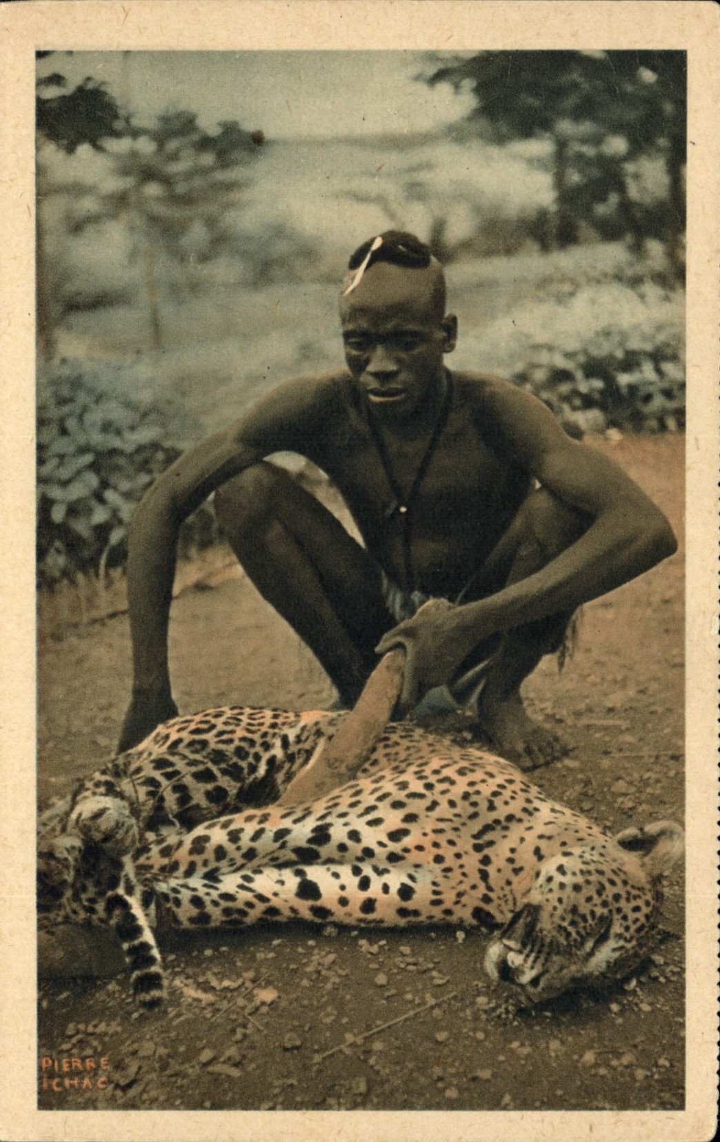 Postal Caza Compañía General de Navegación tiene vapor Cyp Fabre una pantera Mayo Kebi África Ecuatorial Francés Cazador