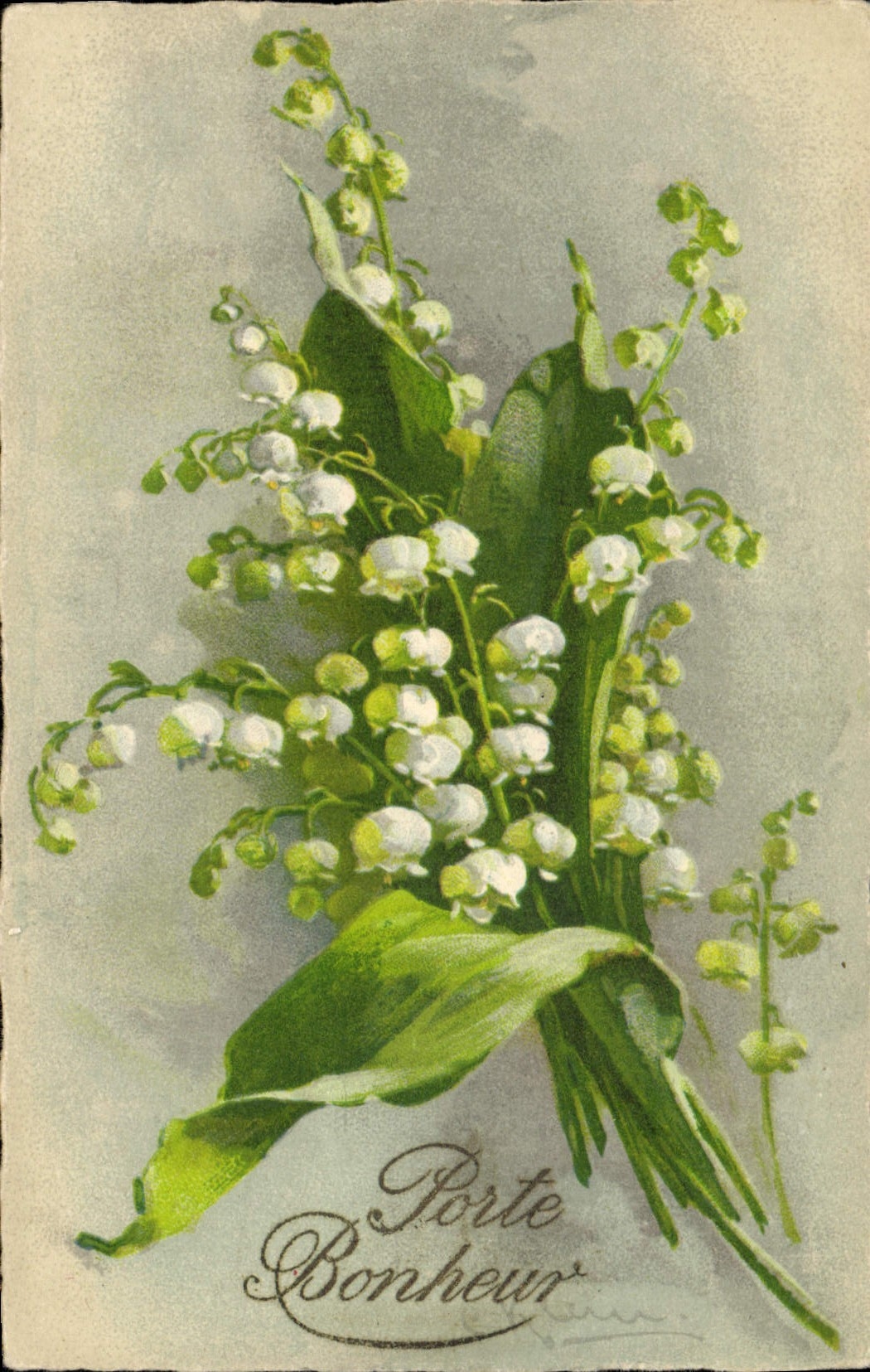 Postal Klein Flores Lirio del valle