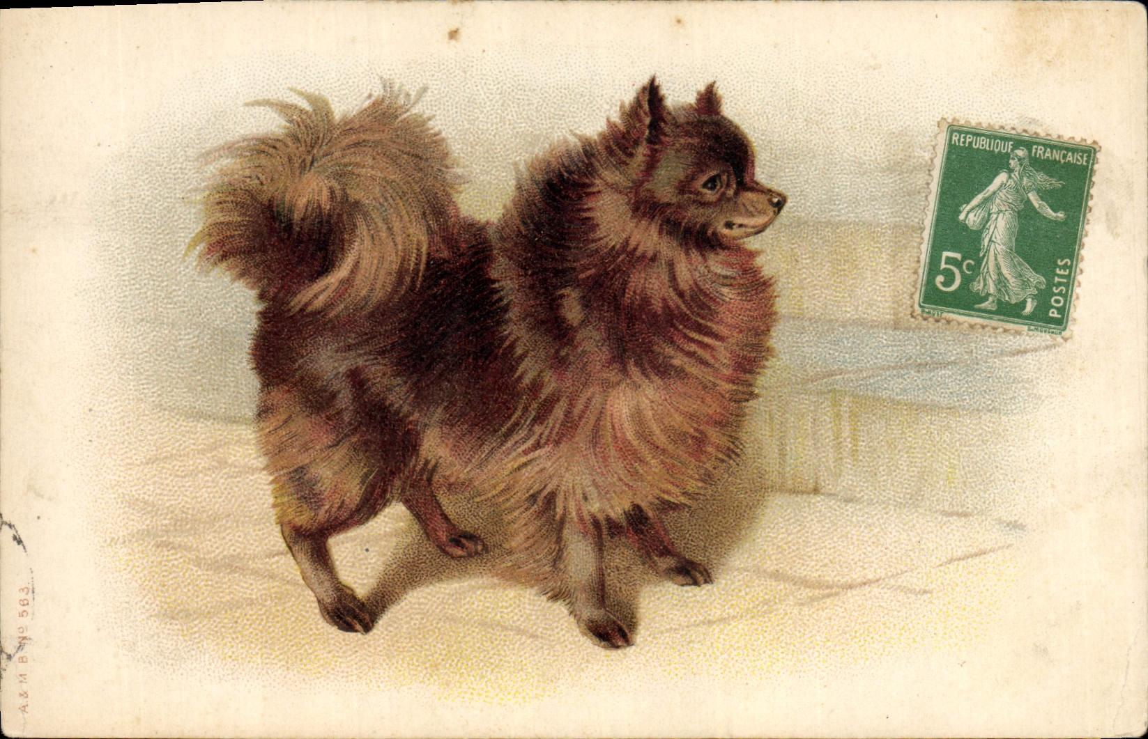 CPA Chiens Chien 