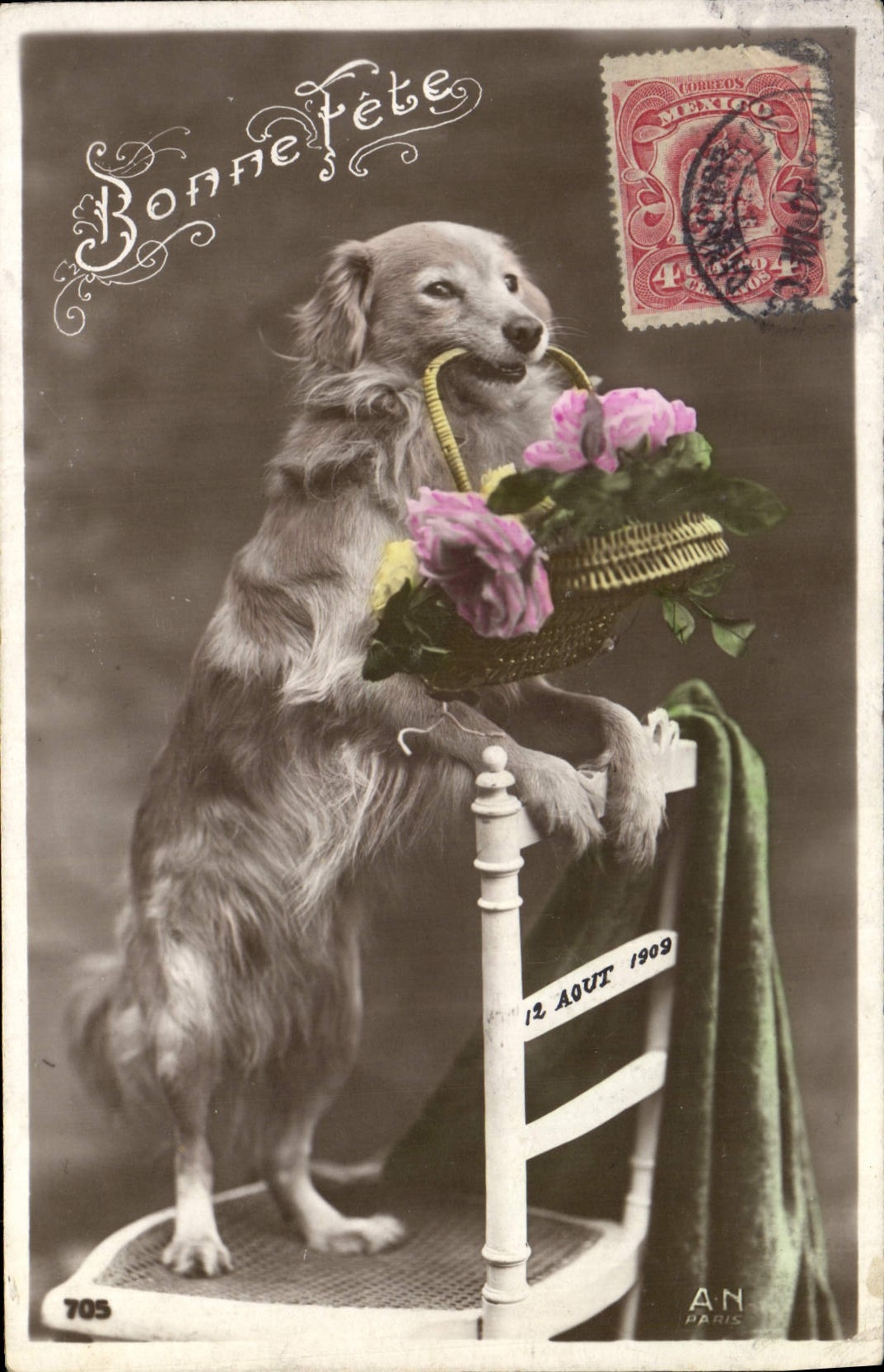 CPA Chiens Chien 