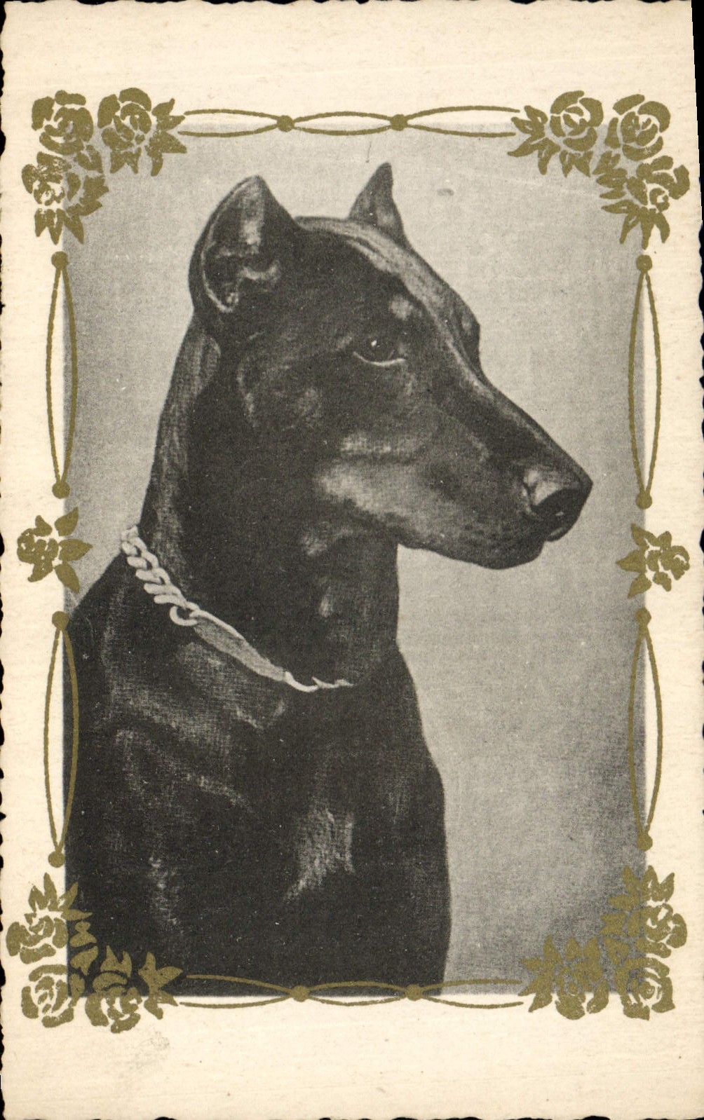 CPA Chiens Chien 