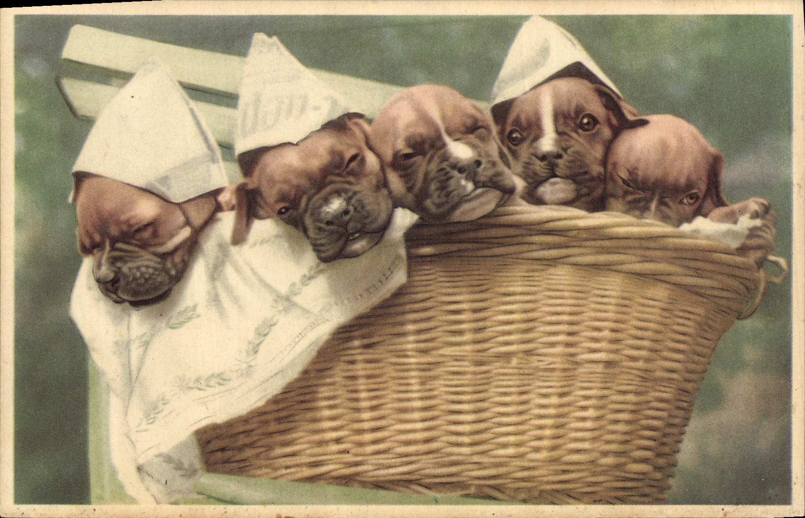 CPA Chiens Chien 