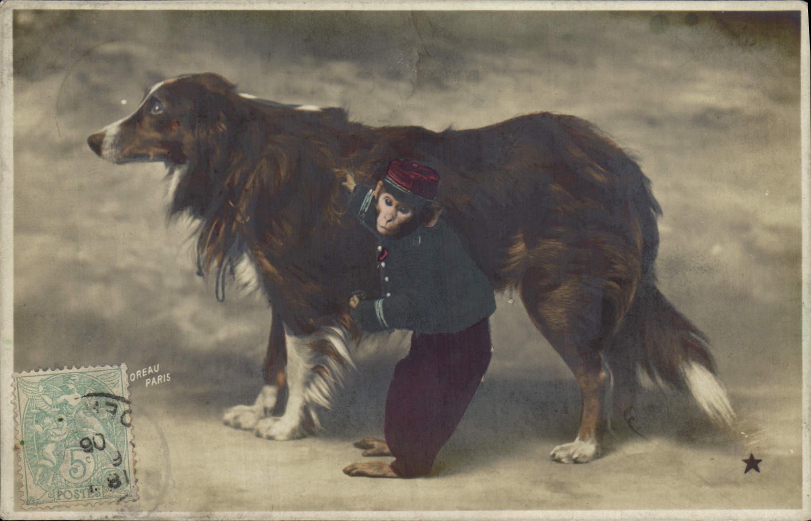 CPA Chiens Chien Singe