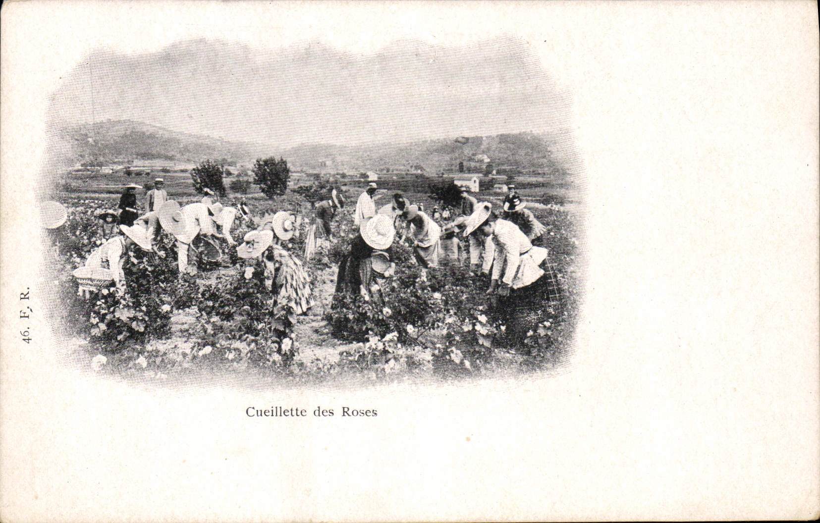 CPA Cueillette des roses 