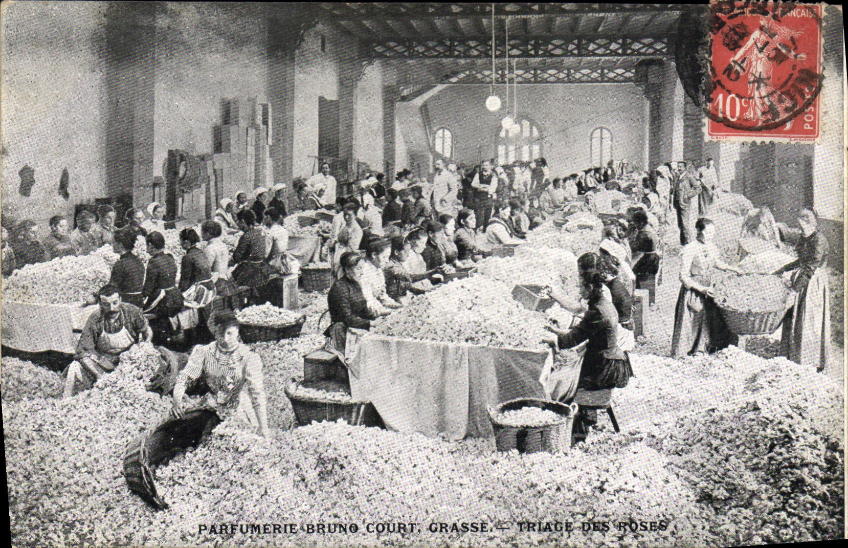 Postal Recolección Perfumería Bruno Court Grasse Selección de las rosas