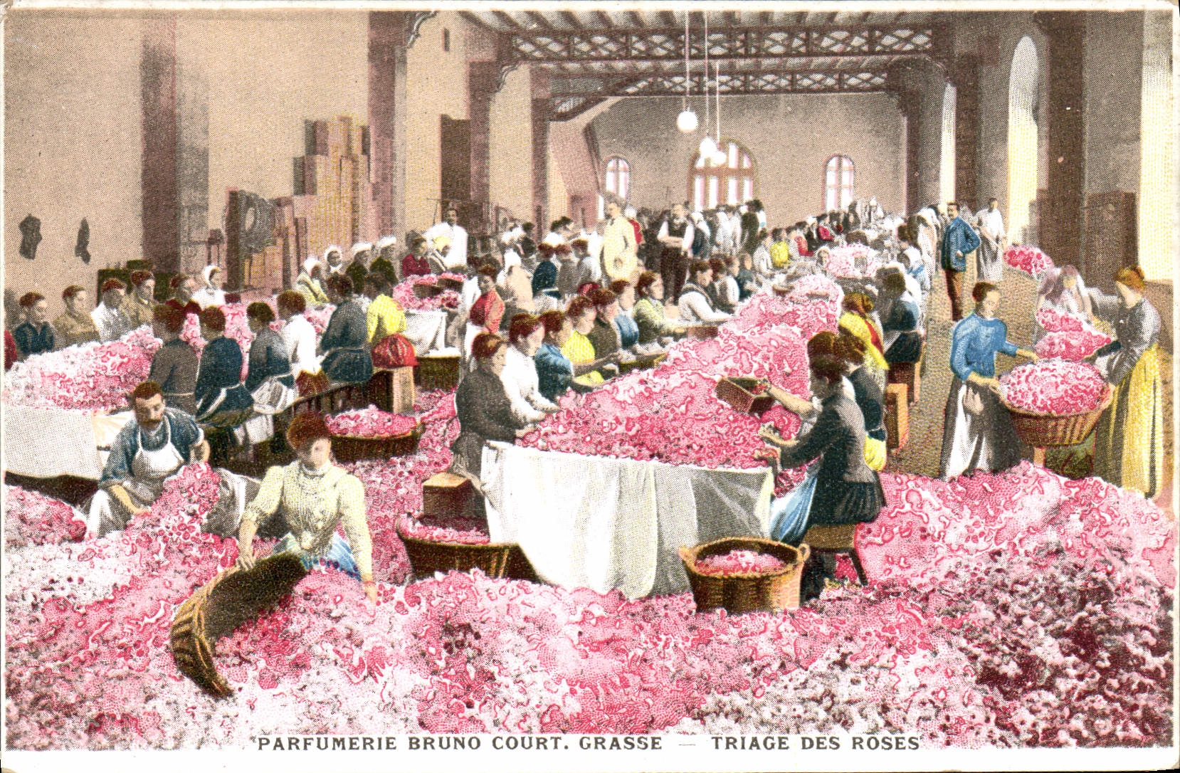 Postal Recolección Perfumería Bruno Court Grasse Selección de las rosas CUMBRE