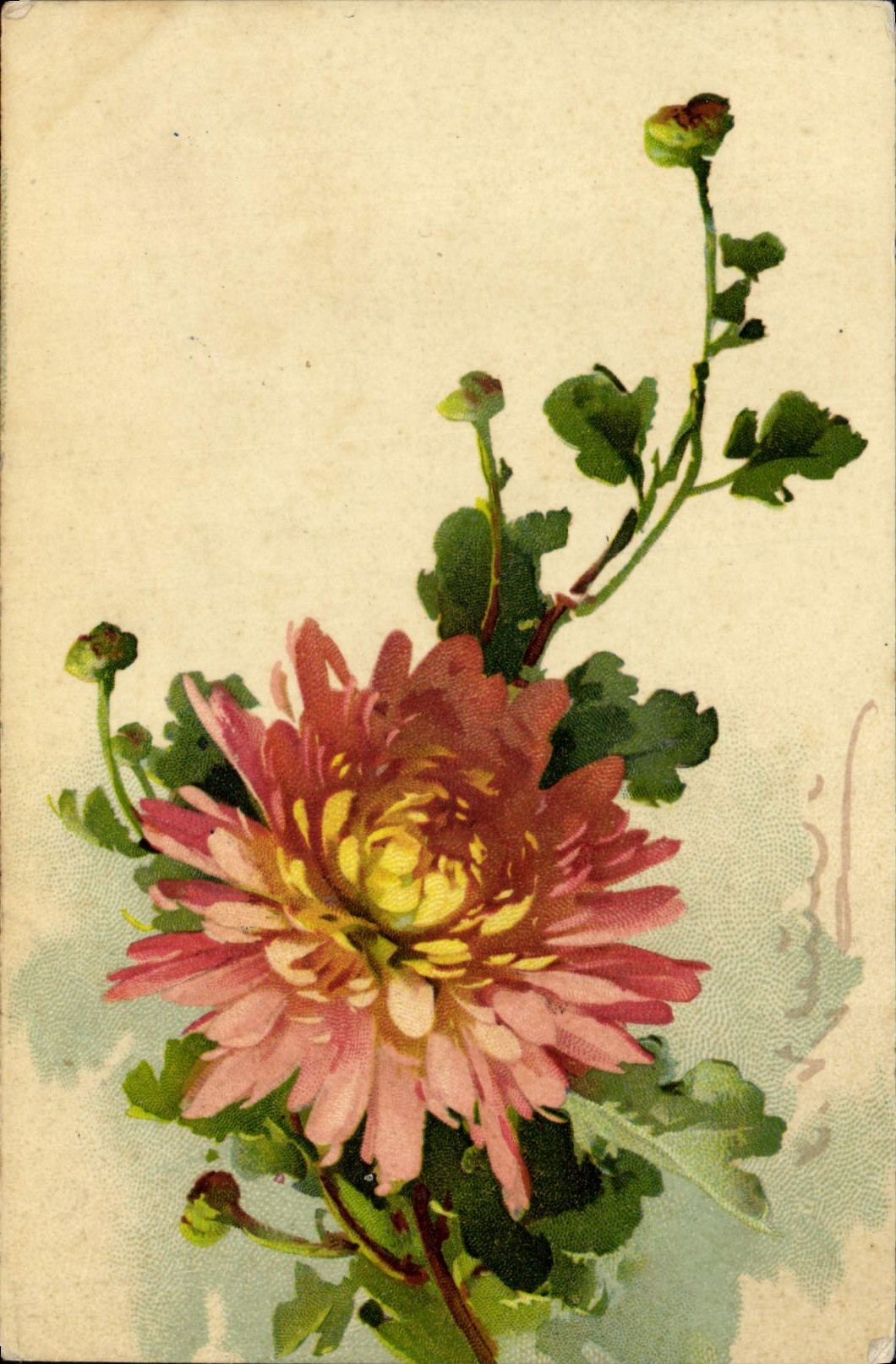 CPA Fantaisie Illustrateur Fleurs 