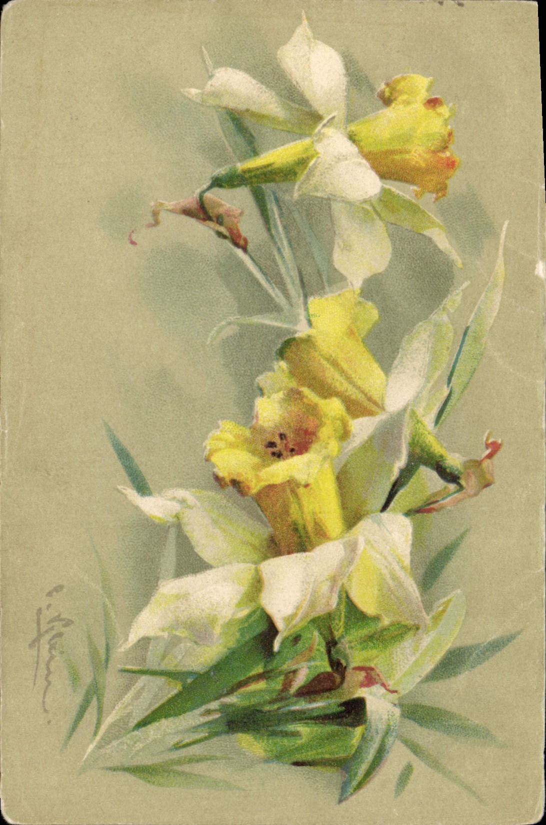 CPA Fantaisie Illustrateur Fleurs 