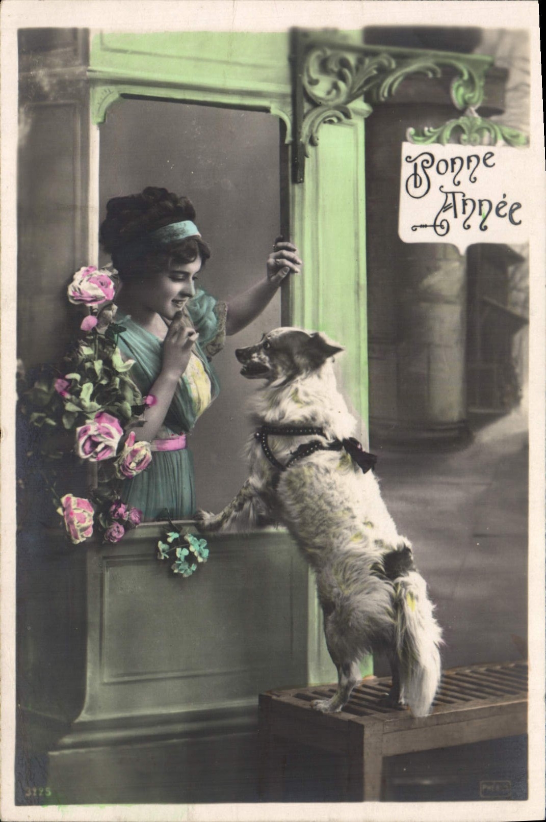 CPA Chien Chiens Femme Bonne annee 