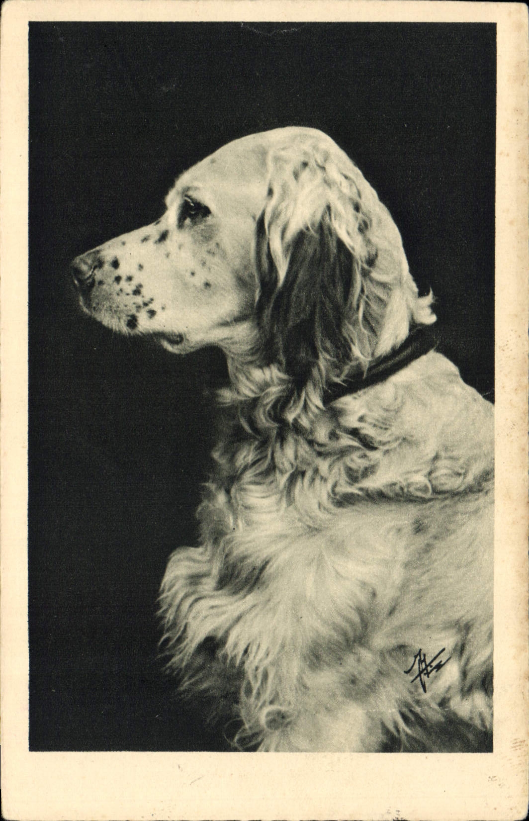 CPA Chien Chiens 
