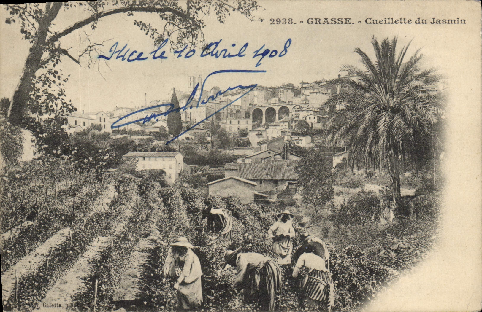 Vintage Postcard Fatty Gathering of the jasmine