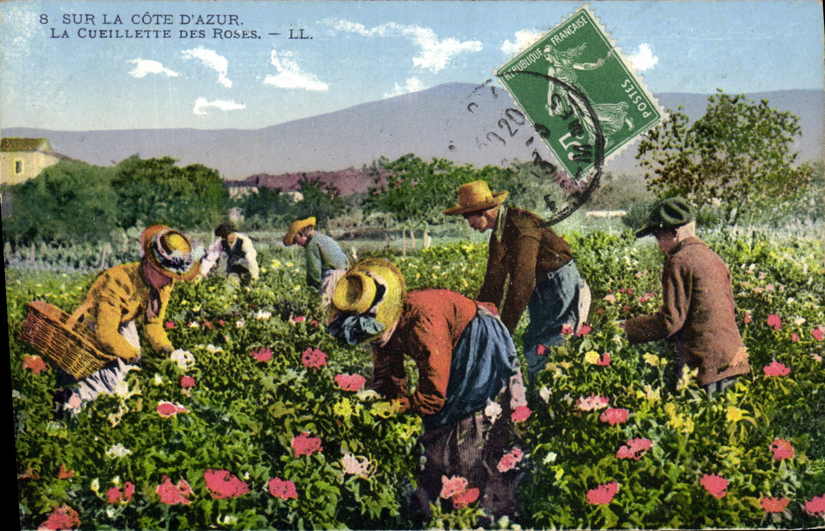 CPA Cueillette des roses Cote d'Azur