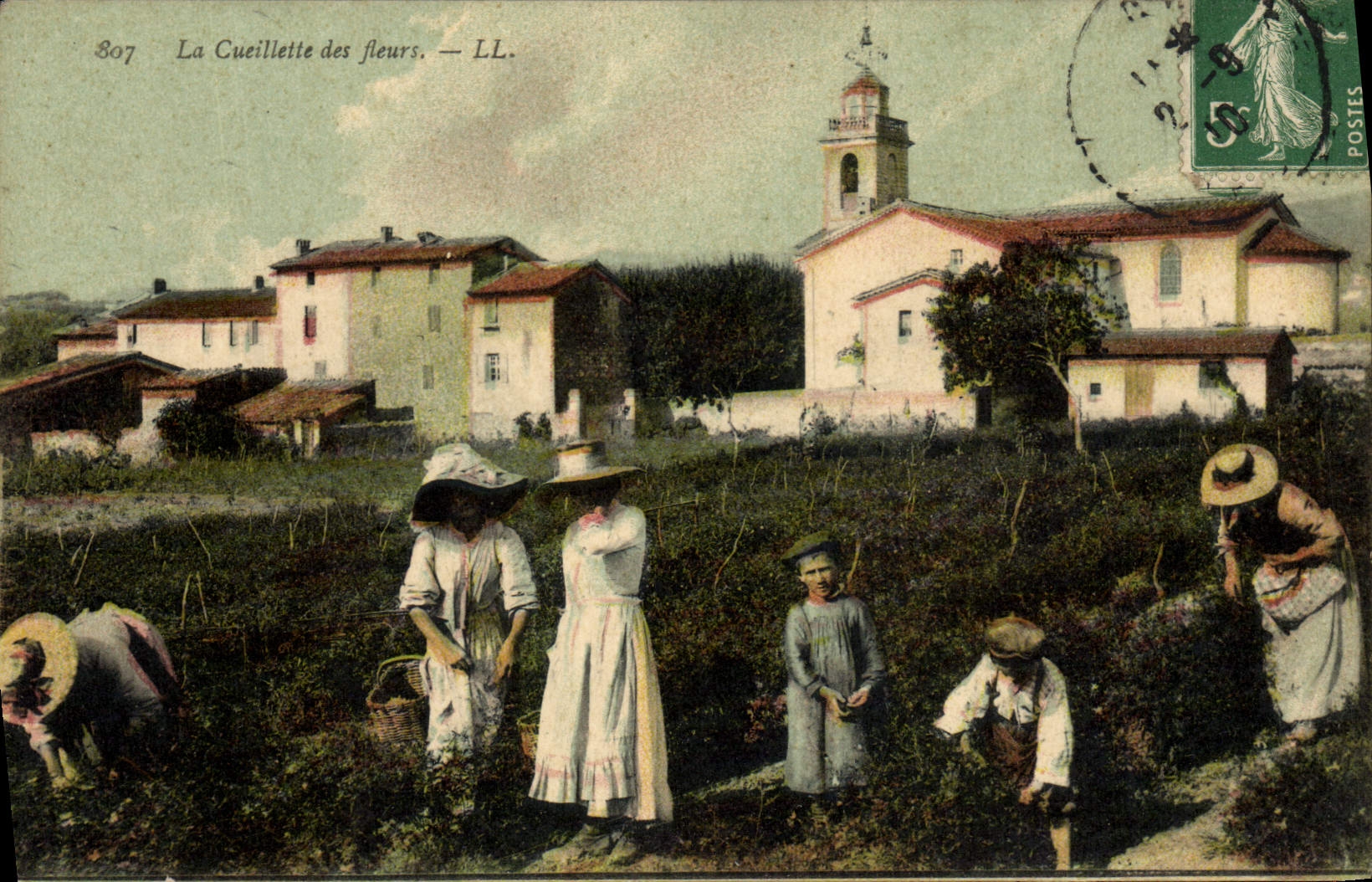 CPA Cueillette des fleurs 