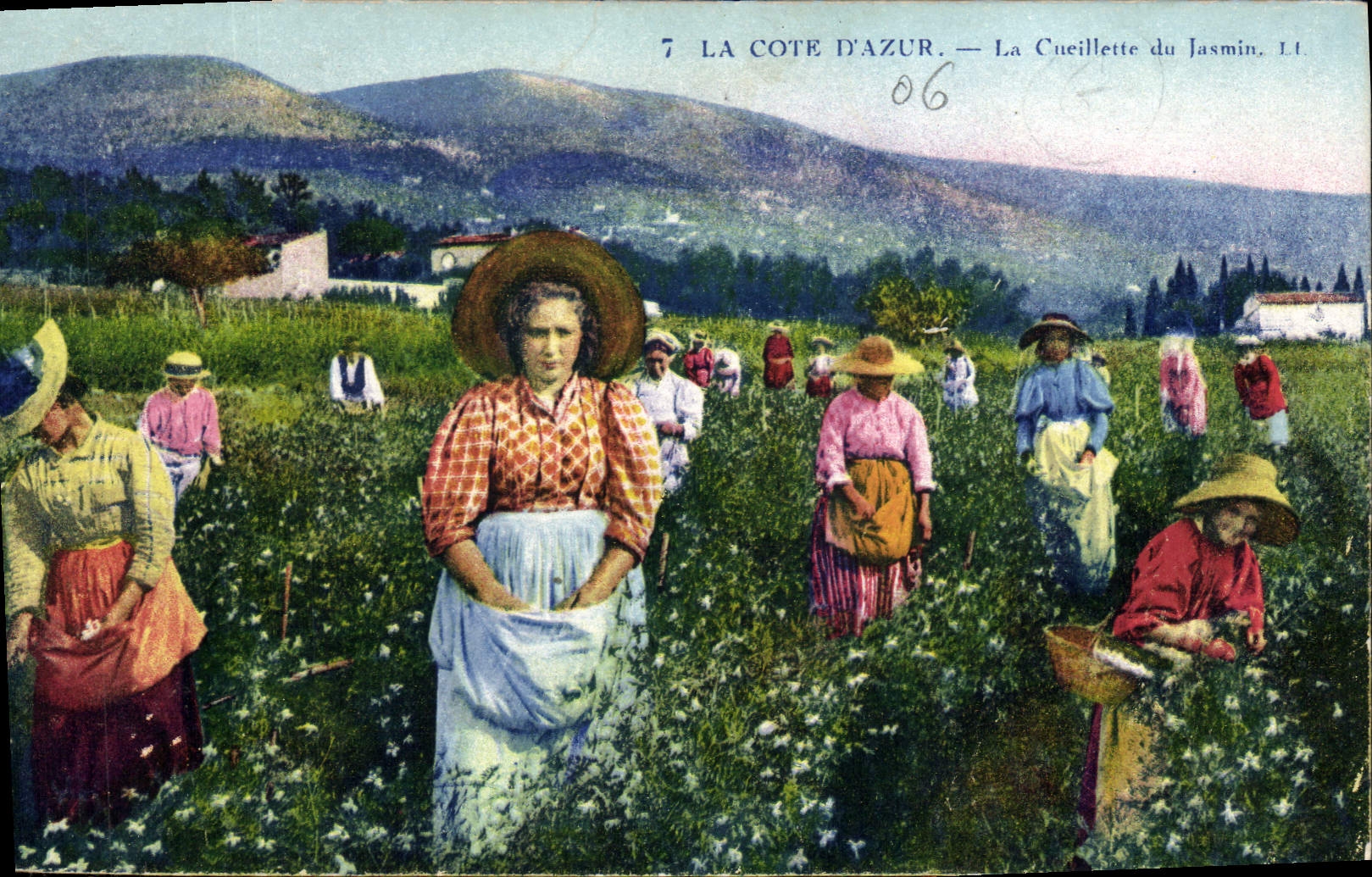 CPA Cueillette du jasmin Cote d'Azur 