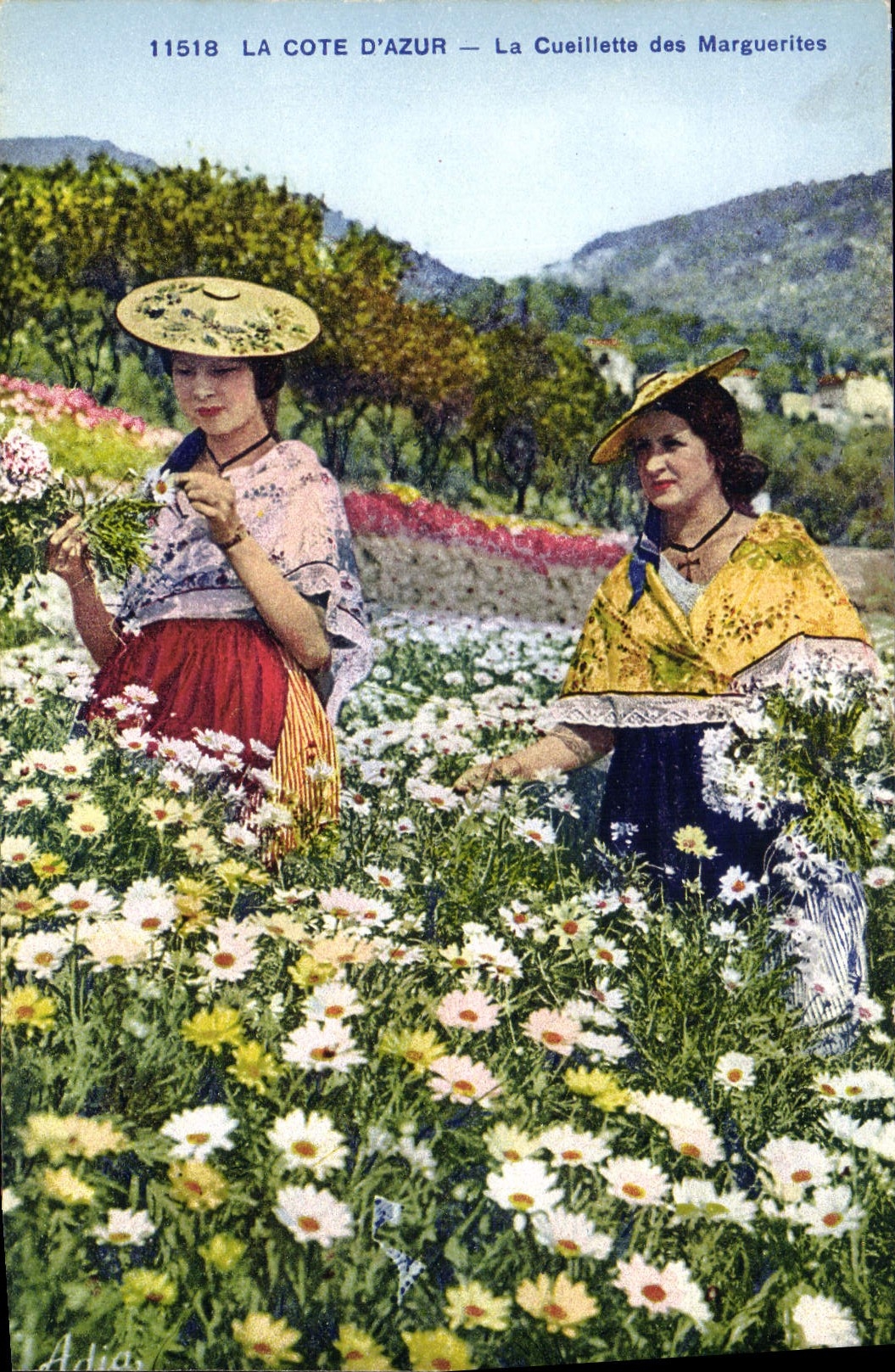 CPA Cueillette des Marguerites Cote d'Azur 