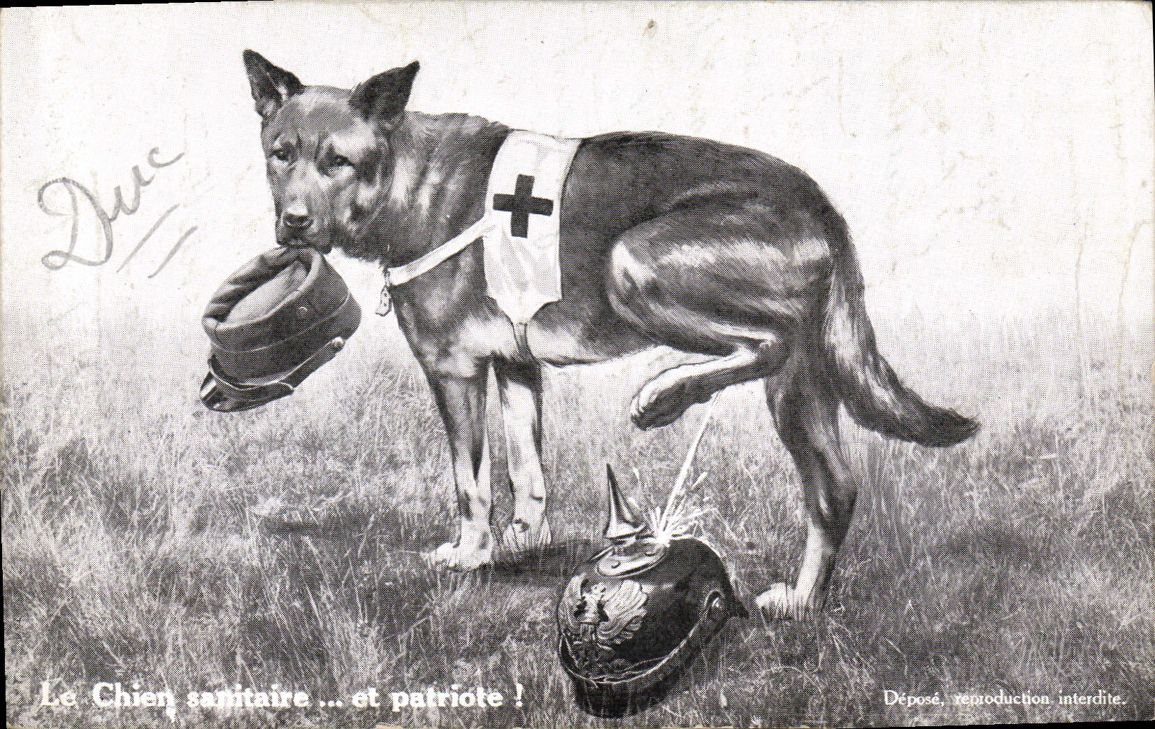 Vintage Postcard Dog Dogs the medical dog and patriotic Militaria Red Cross