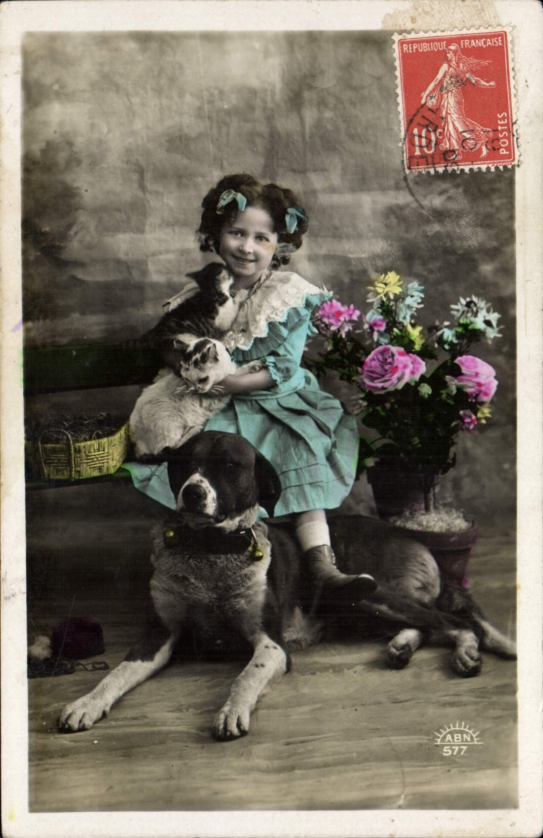 CPA Chien Chiens Enfant 
