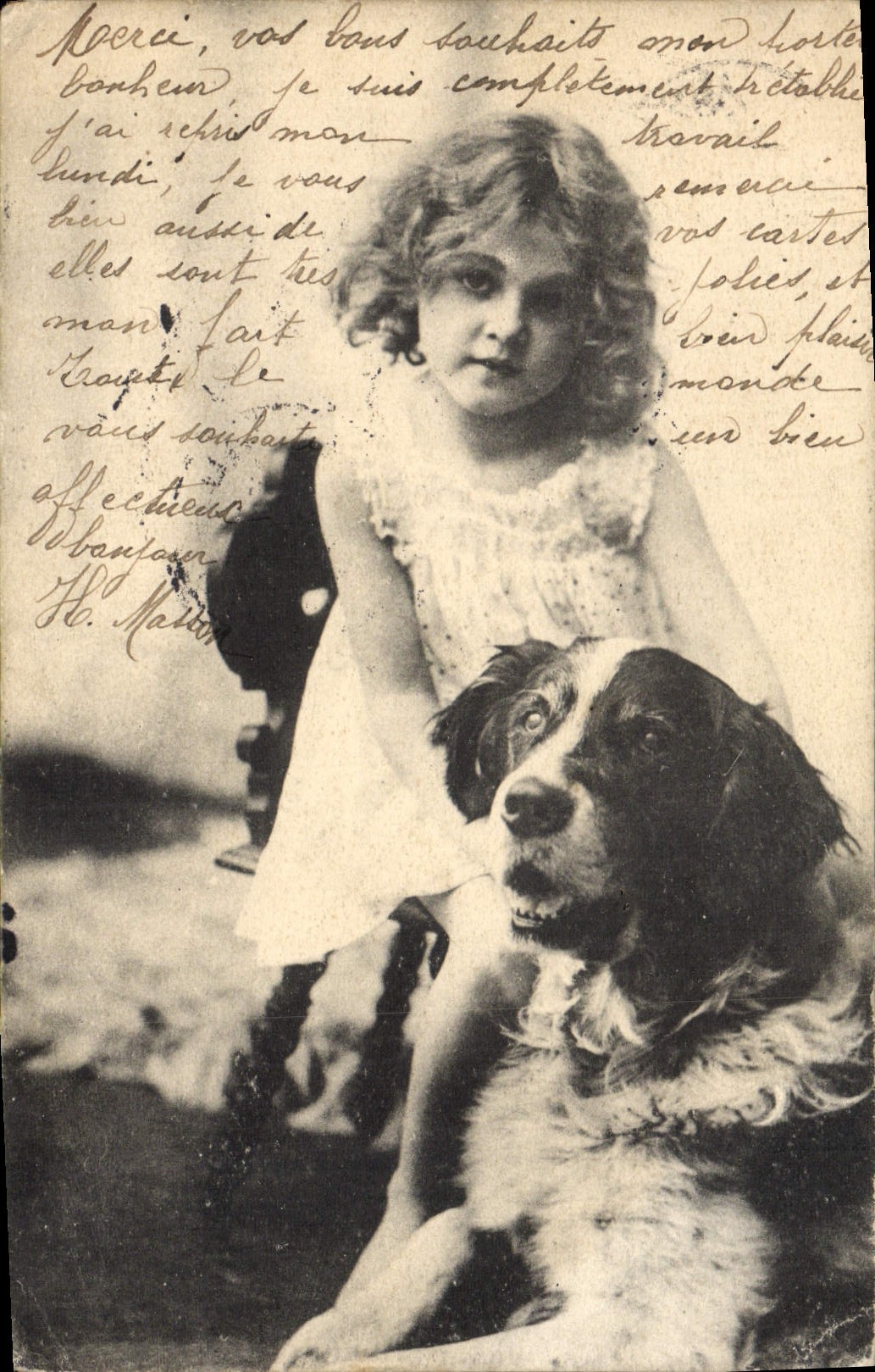 CPA Chien Chiens Enfant 