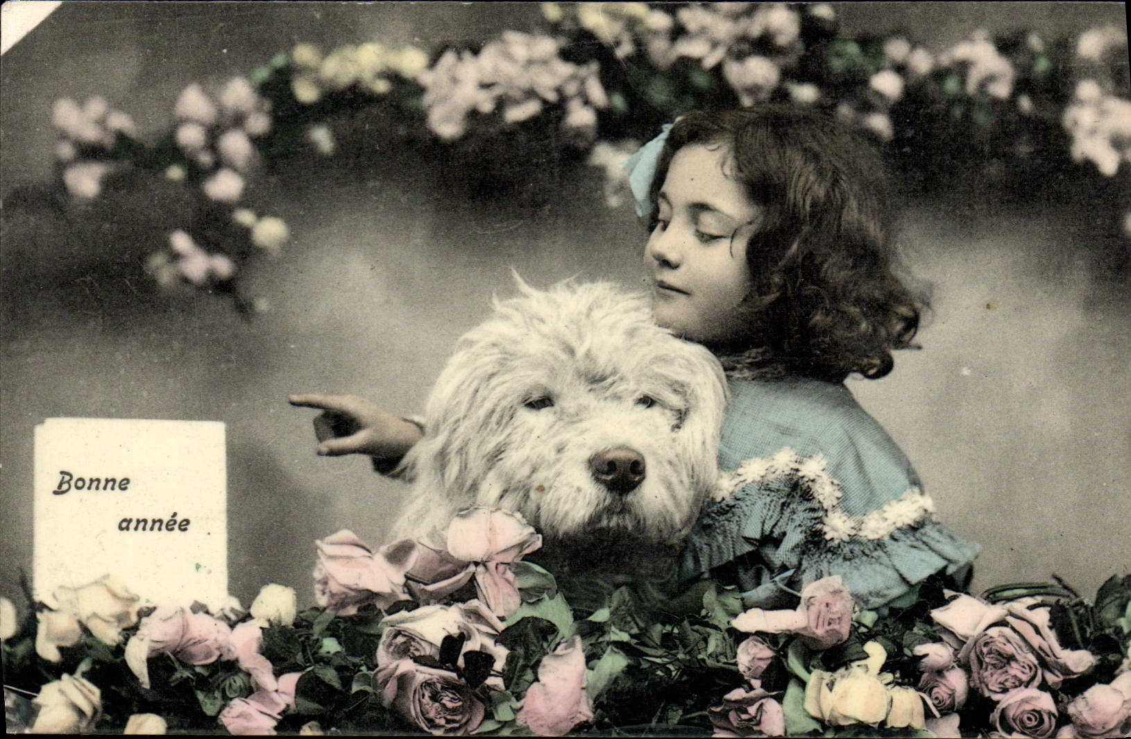 CPA Chien Chiens Enfant 