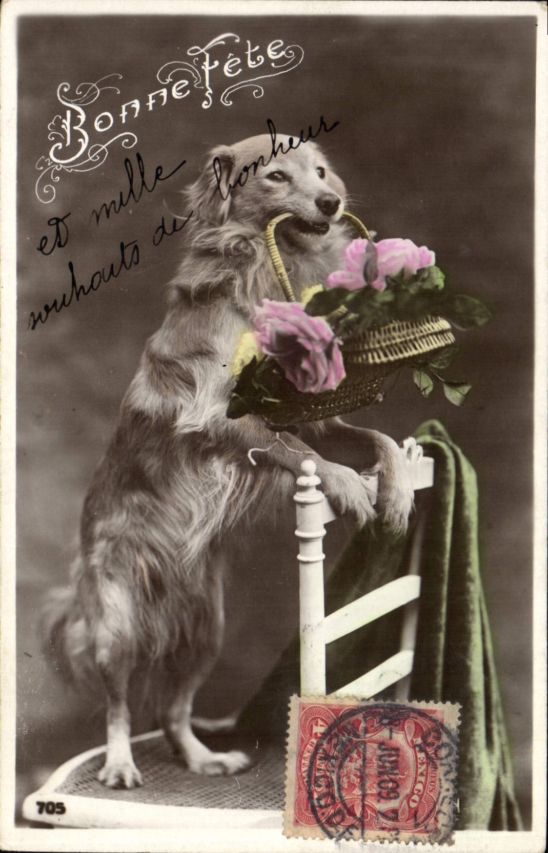 CPA Chien Chiens Bonne fete 