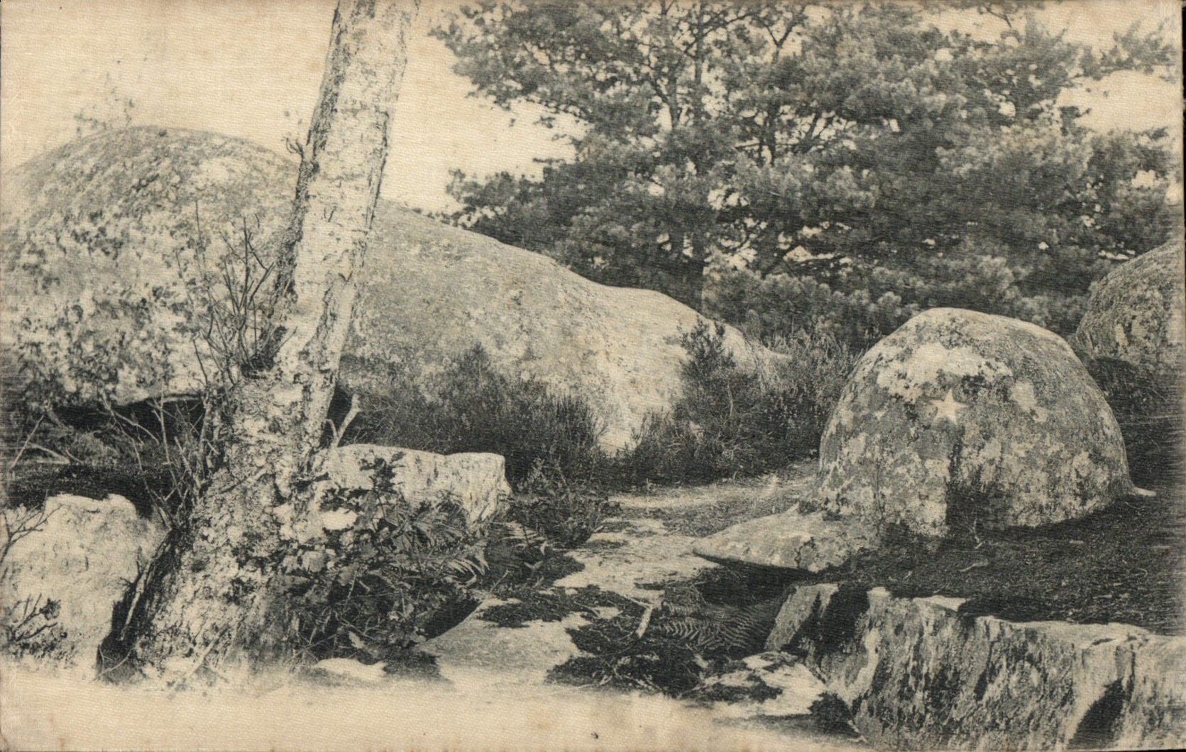 Vintage Postcard Fantasy Trees (silk chart)