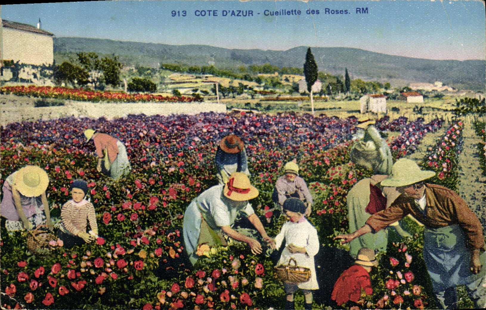 CPA Cueillette des roses Cote d'Azur 