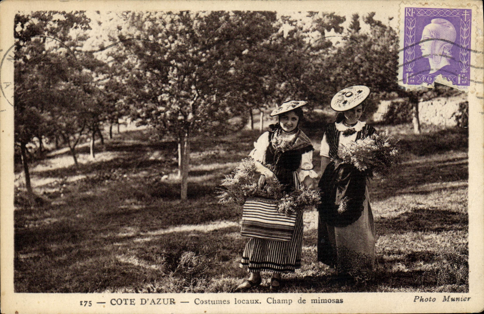 CPA Cueillette Cote d'Azur Costumes locaux Champ de mimosas
