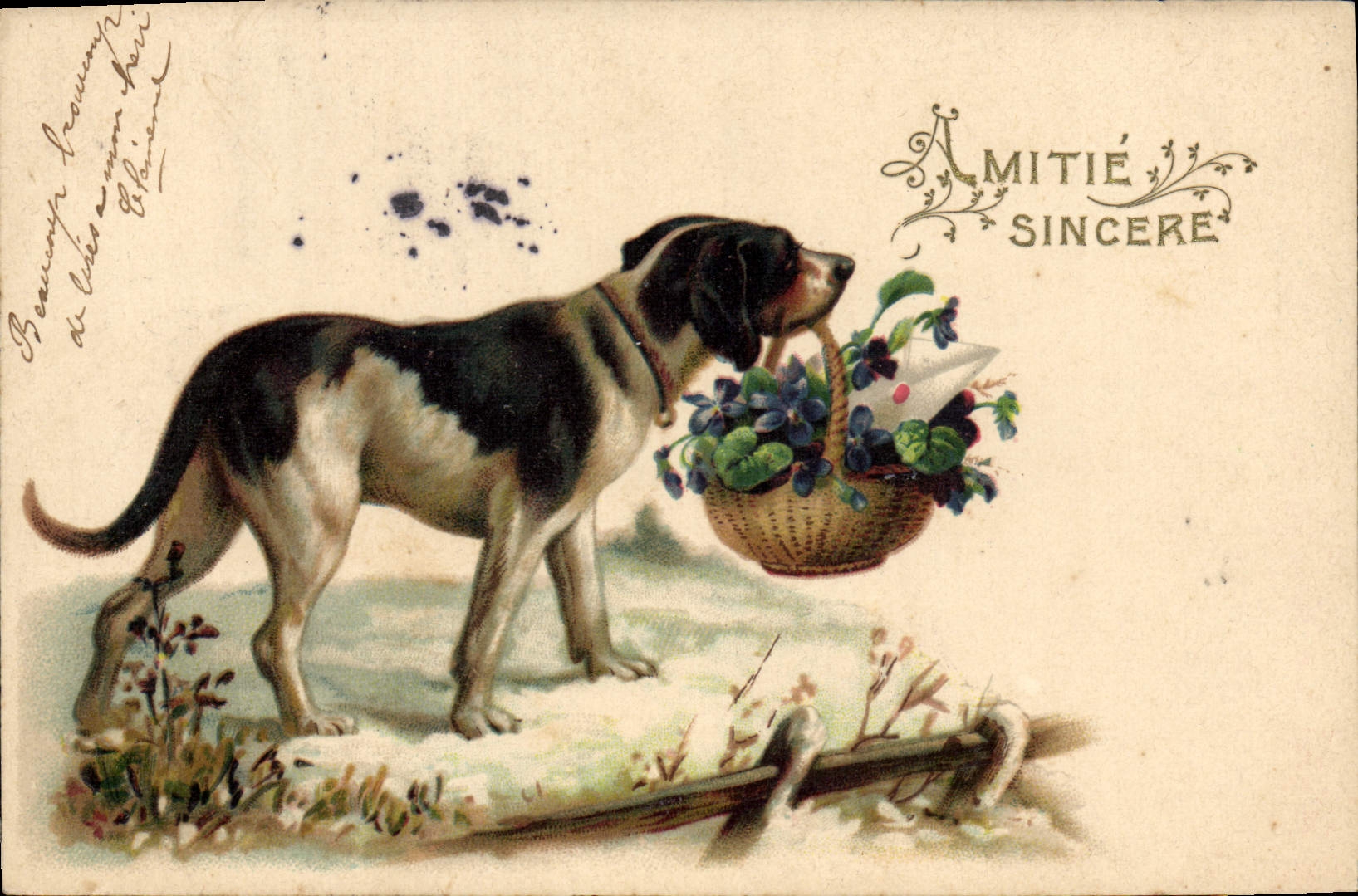 Vintage Postcard Fantasy Dog