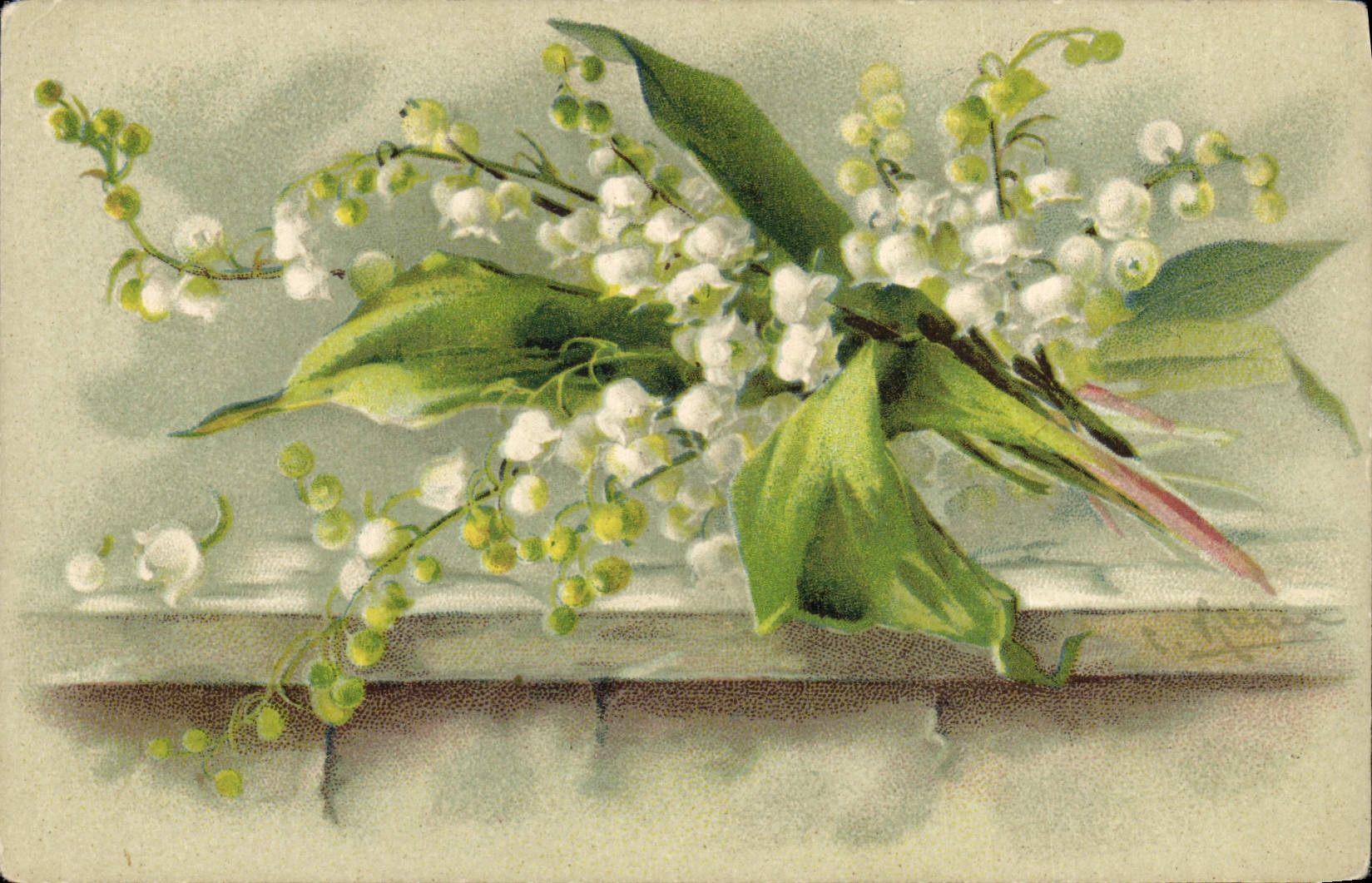 Vintage Postcard Fantasy Illustrator Flowers Lily of the valley