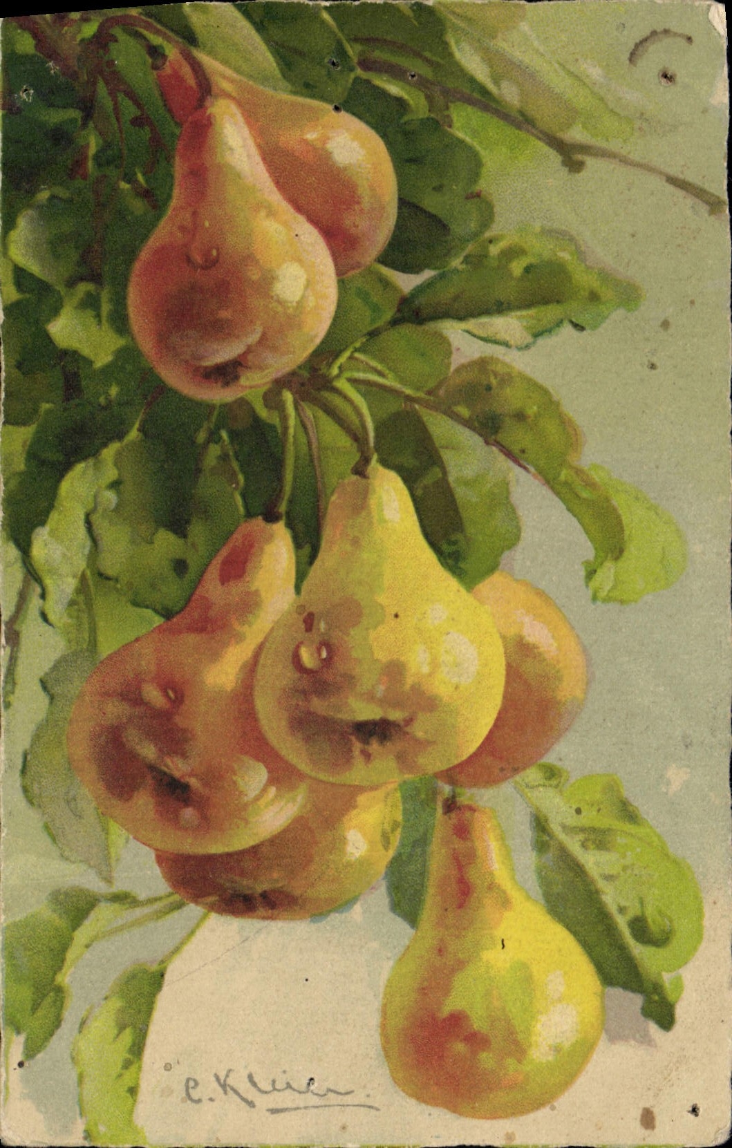 Vintage Postcard Fantasy Illustrator Pears