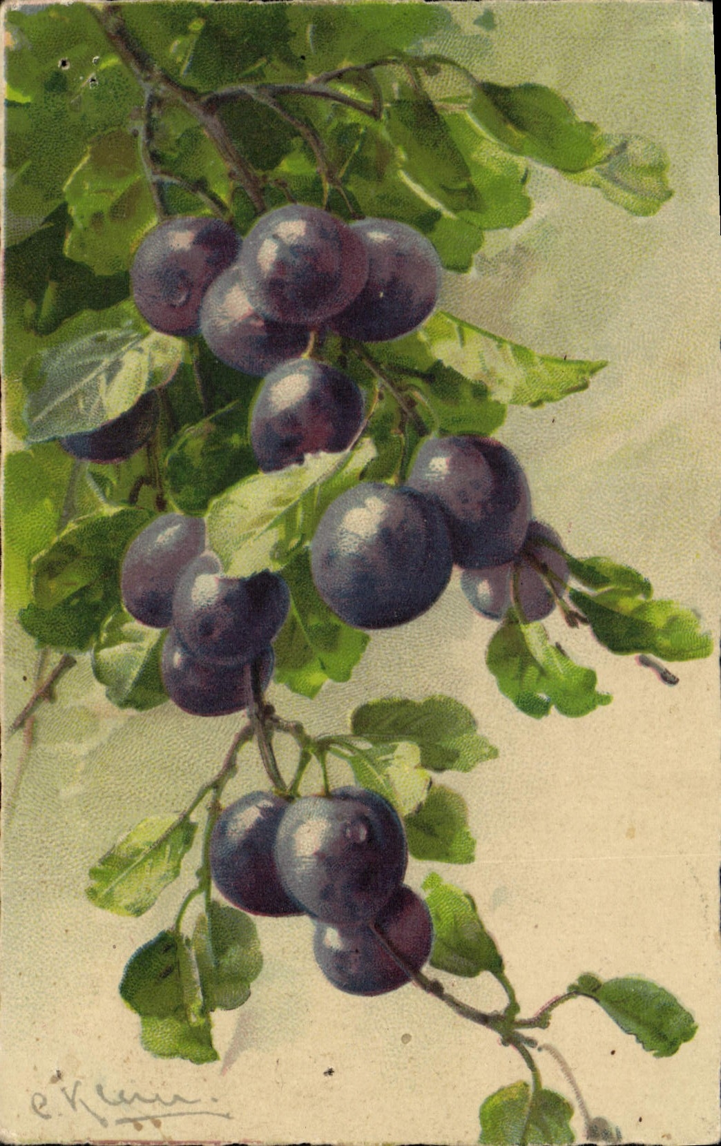 Vintage Postcard Fantasy Illustrator Fruits