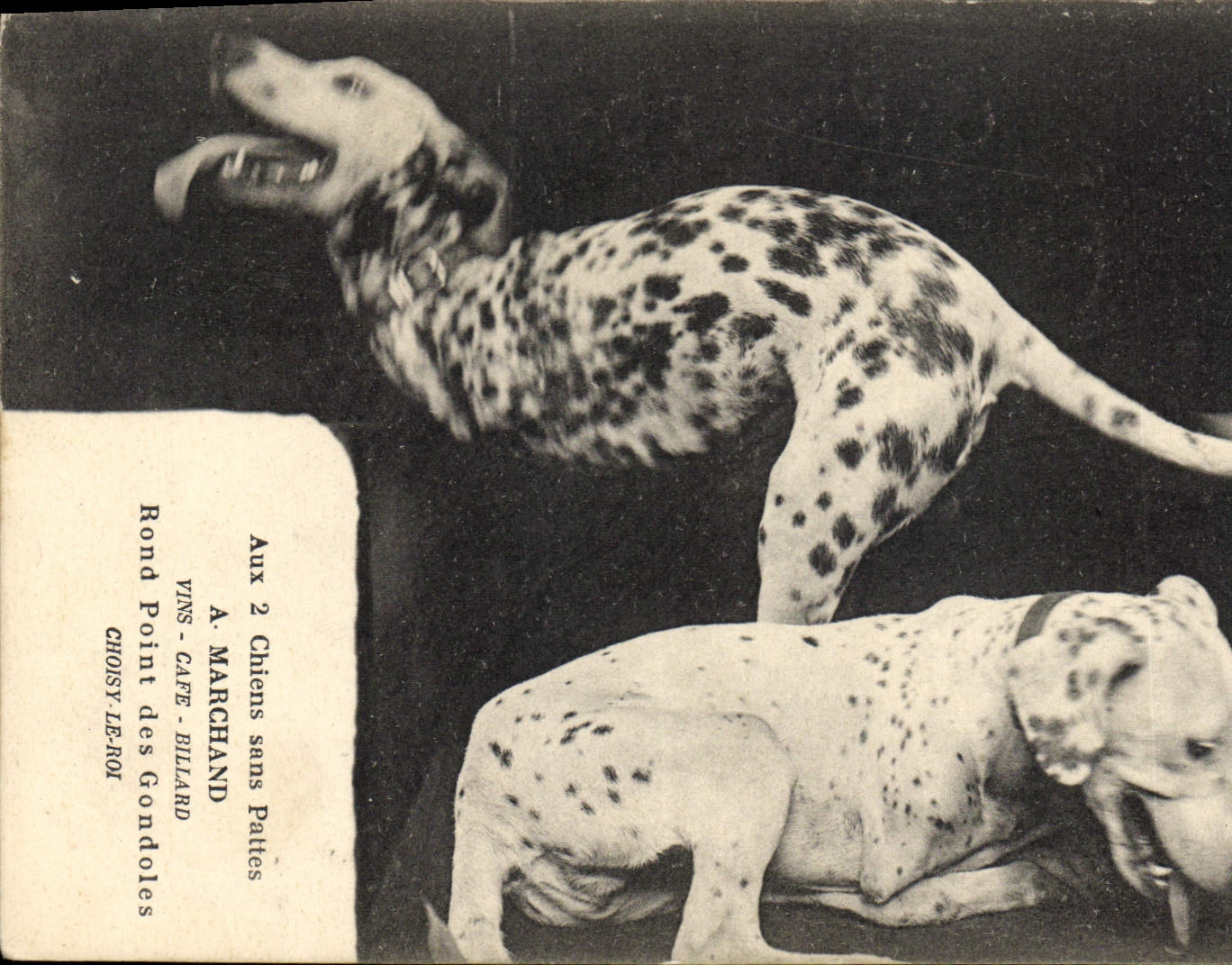 Vintage Postcard Dog Dogs without legs Round Merchant Point of the Choisy gondolas the KING SIGNAL