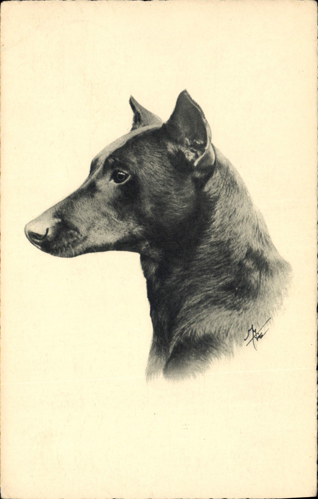CPA Chien Chiens