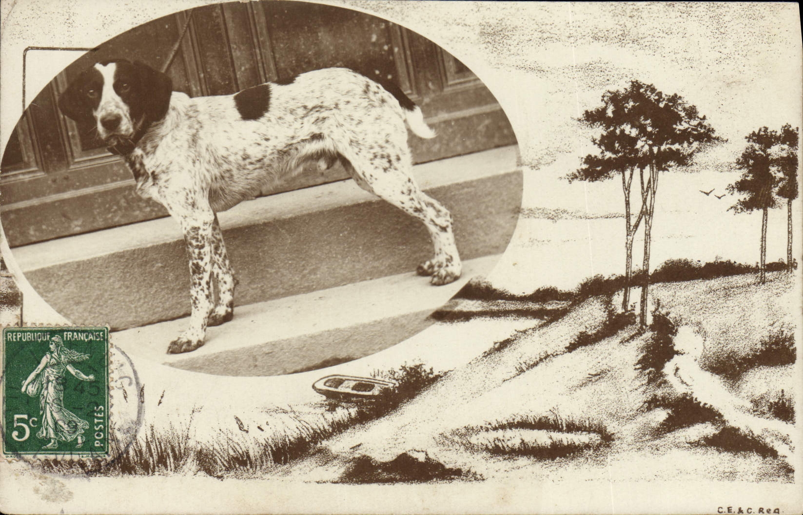 CPA Chien Chiens 