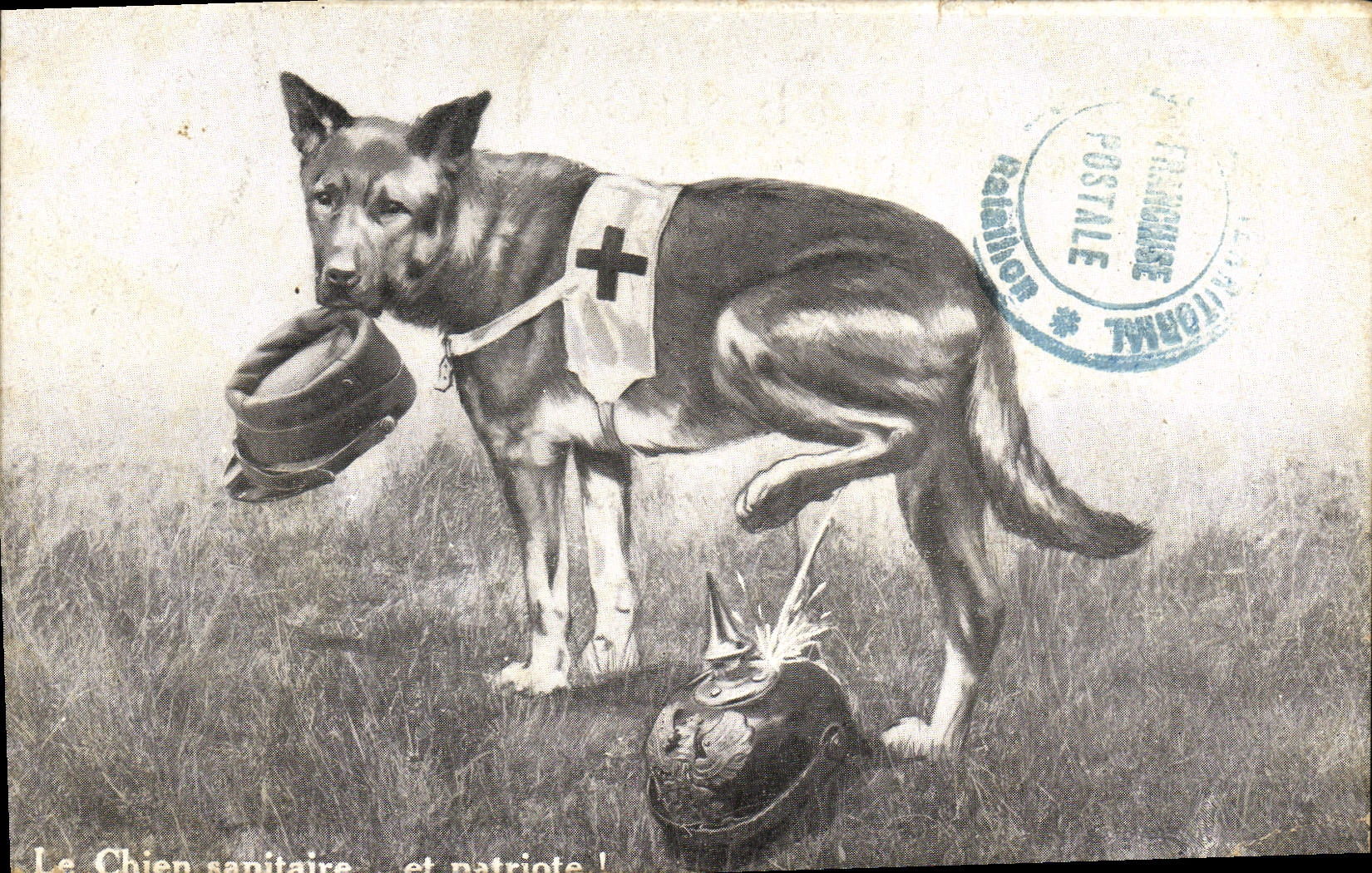 Vintage Postcard Dog Dogs the medical dog Red Cross