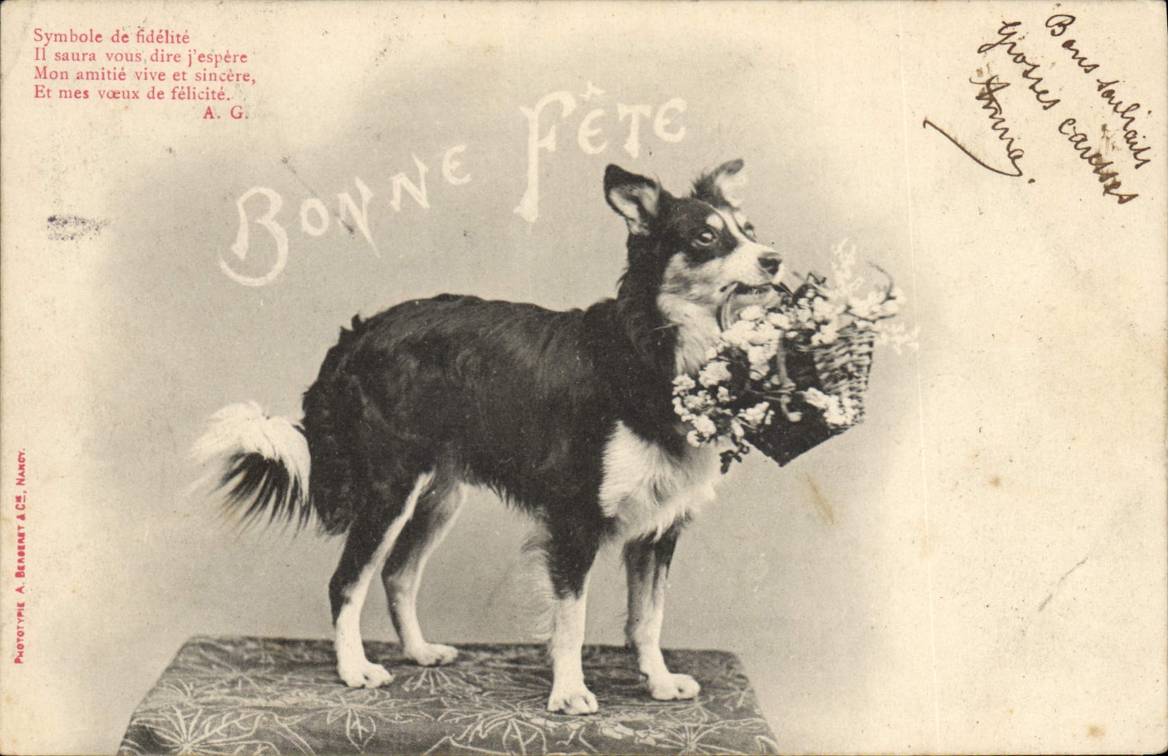 CPA Chien Chiens 