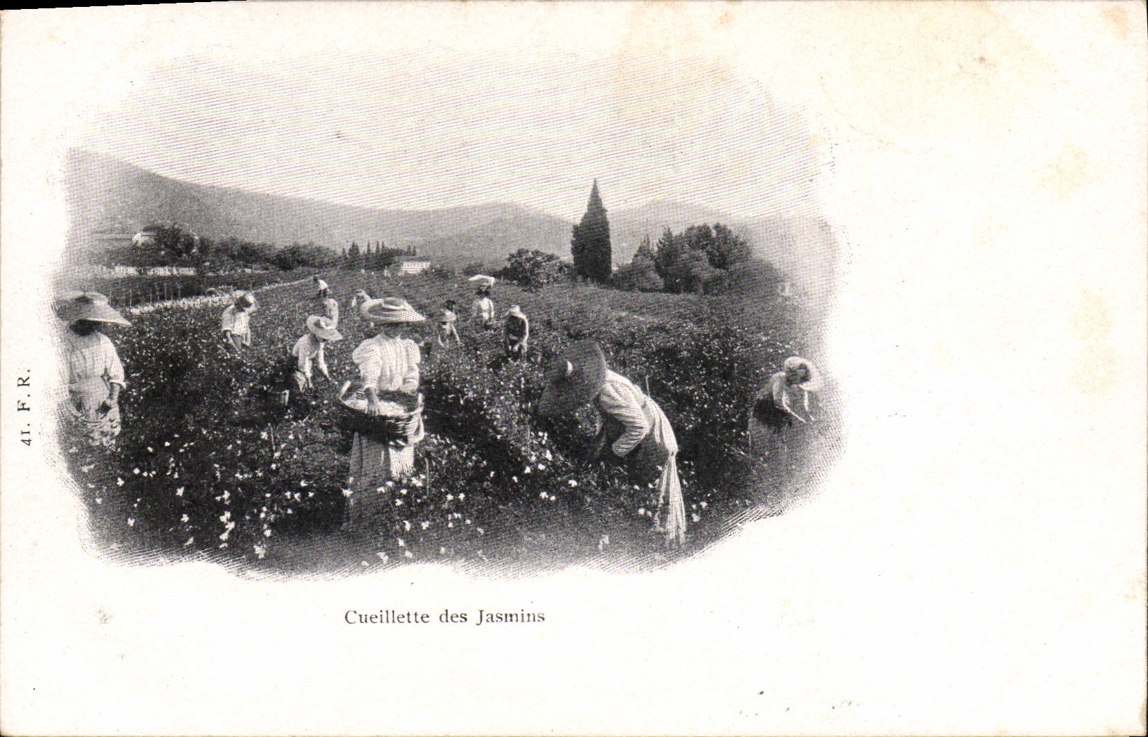 CPA Cueillette des jasmins 