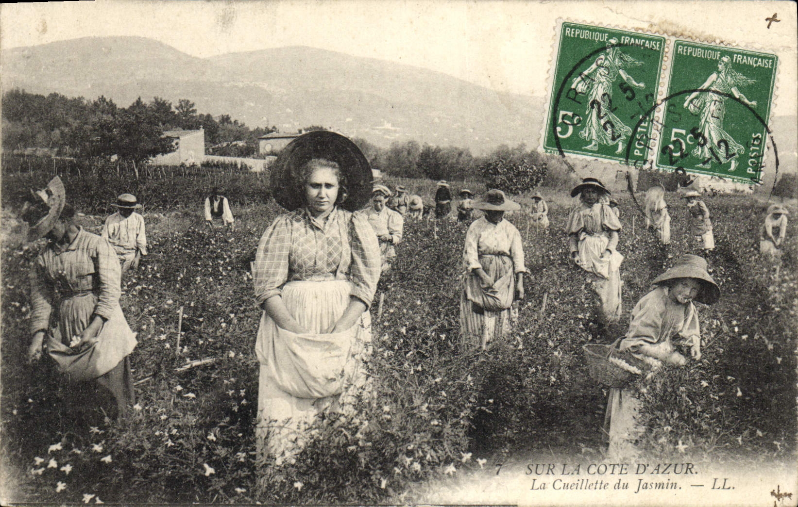 CPA Cueillette du jasmin Cote d'Azur 