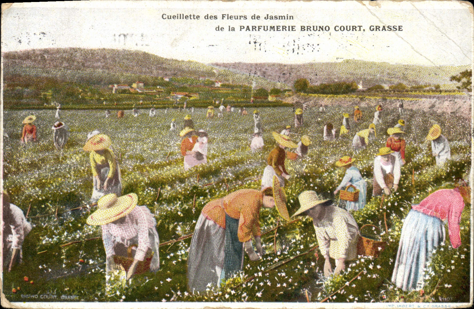 Vintage Postcard Gathering of the jasmine of Fatty Perfumery Bruno Court