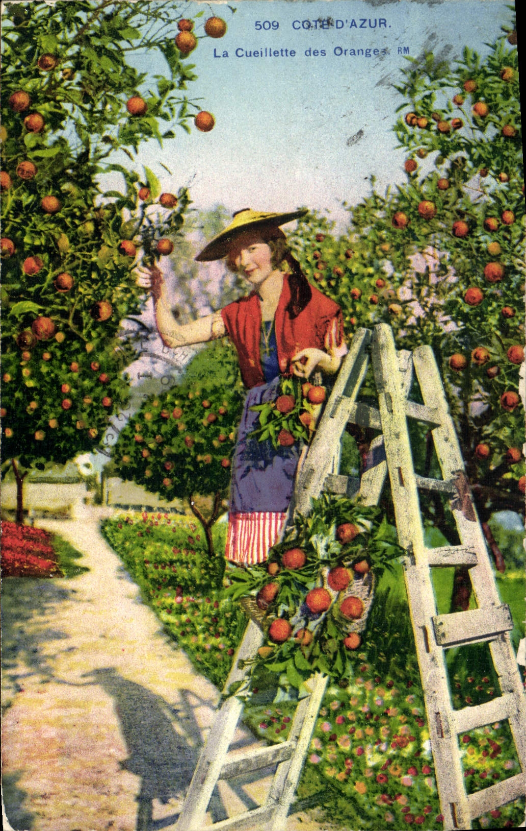 Postal Recolección de las naranjas Costa Azul