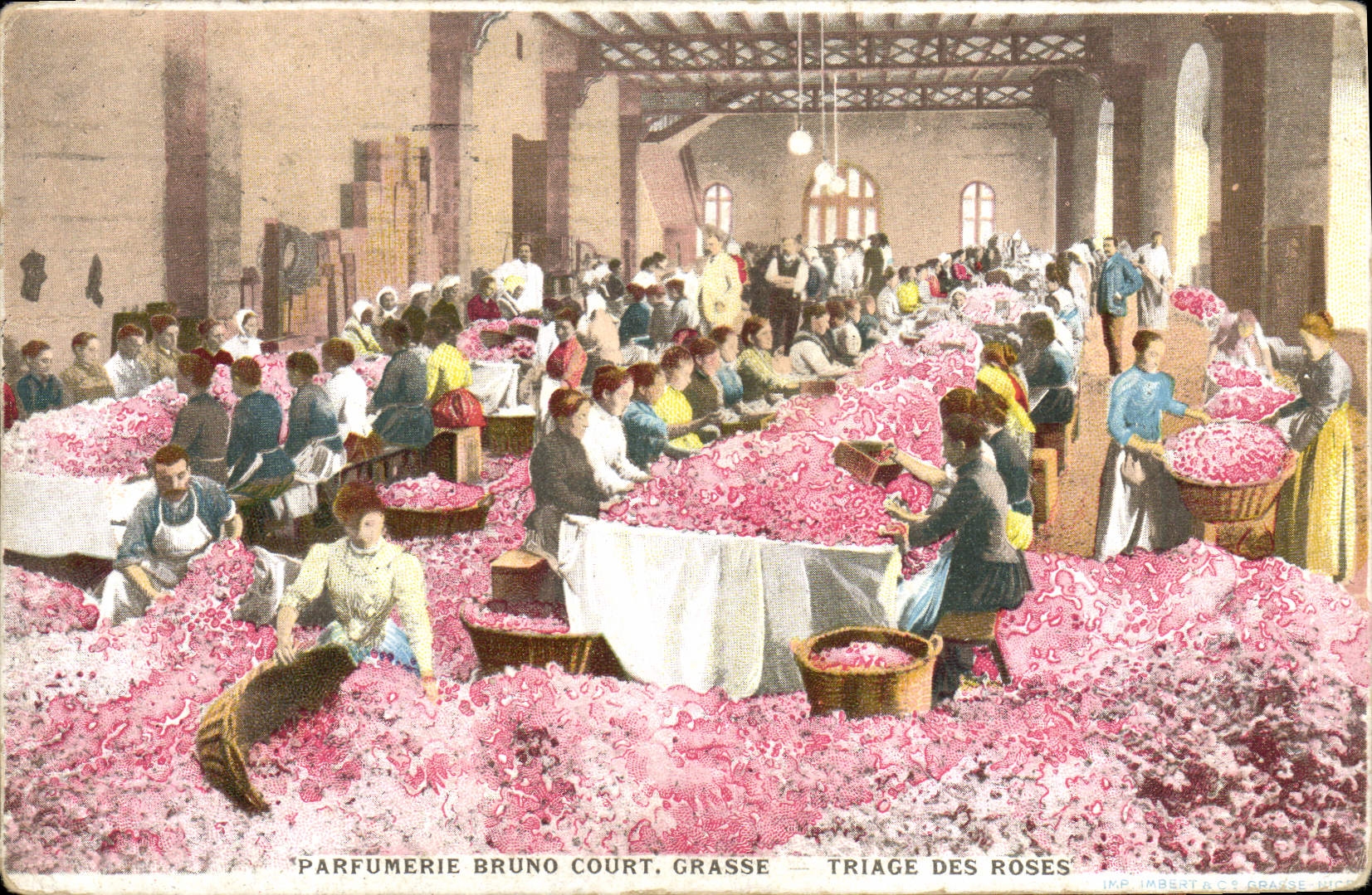 Postal Recolección Selección de las rosas Perfumería Bruno Court Grasse