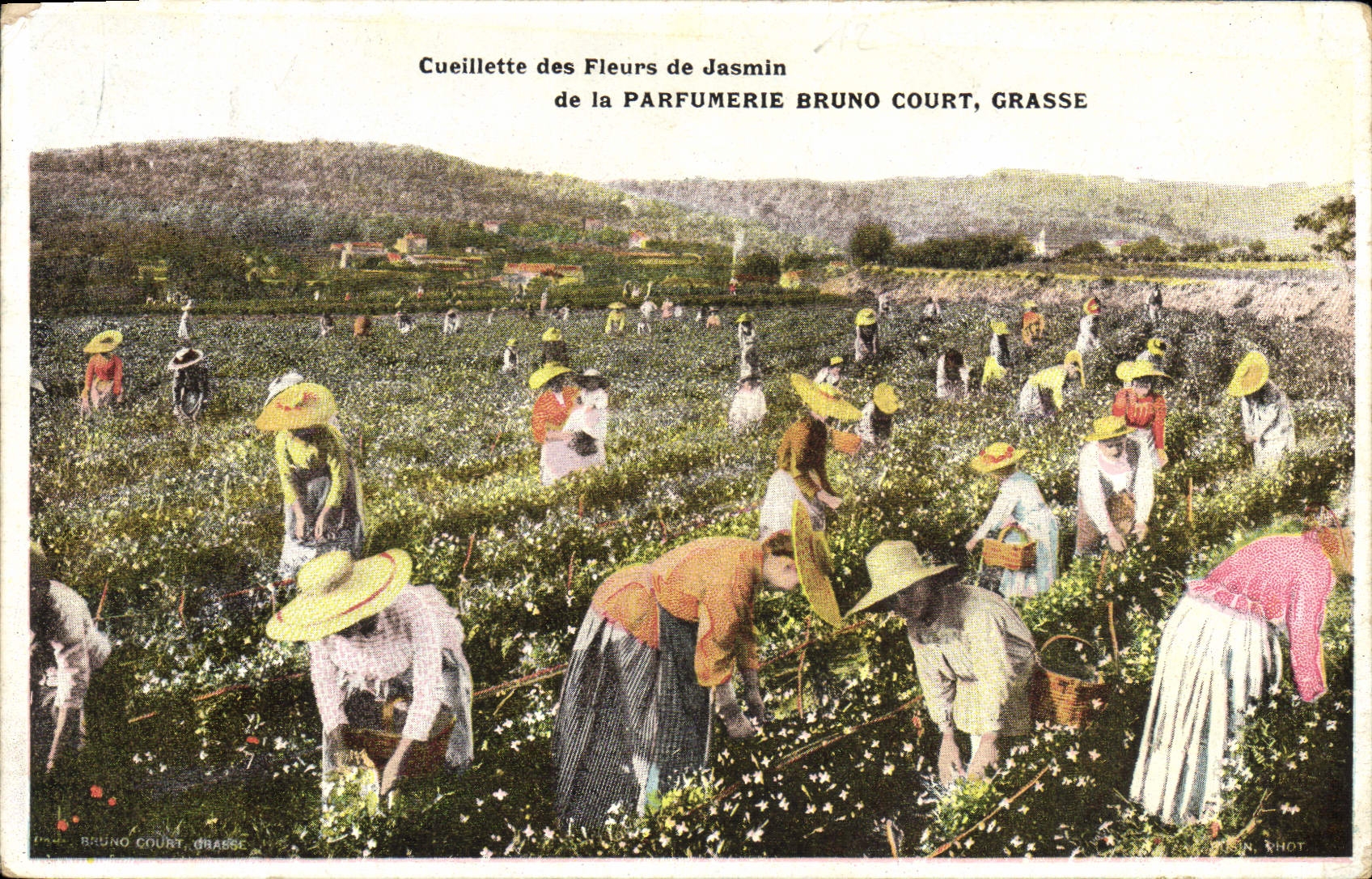 Vintage Postcard Gathering of the flowers of jasmine Fatty Perfumery Bruno Court