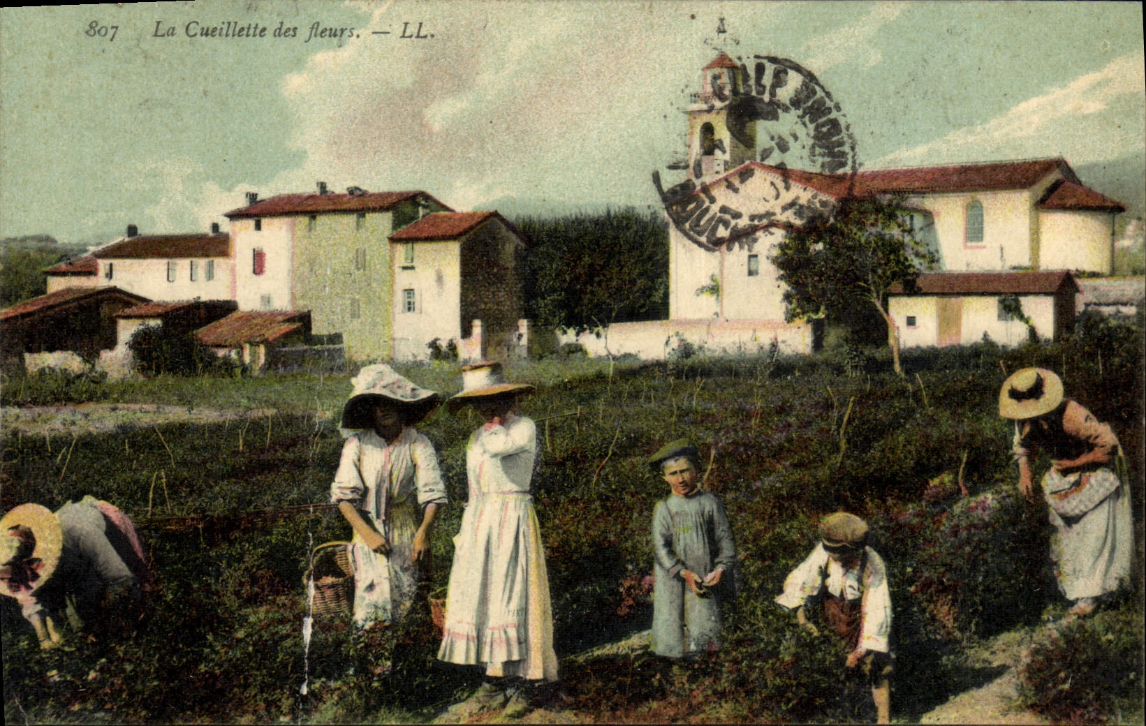 CPA Cueillette des fleurs 